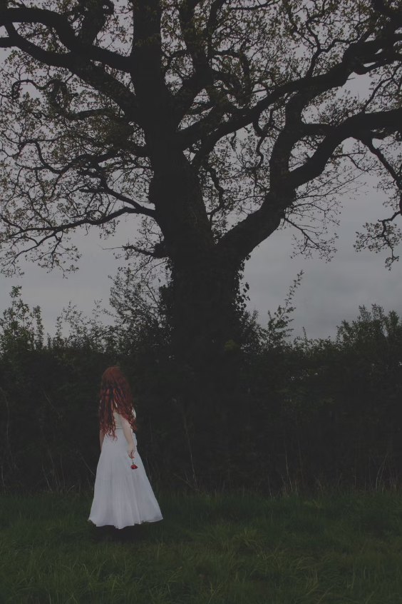 Screenshot 2025-11-20 112042.png