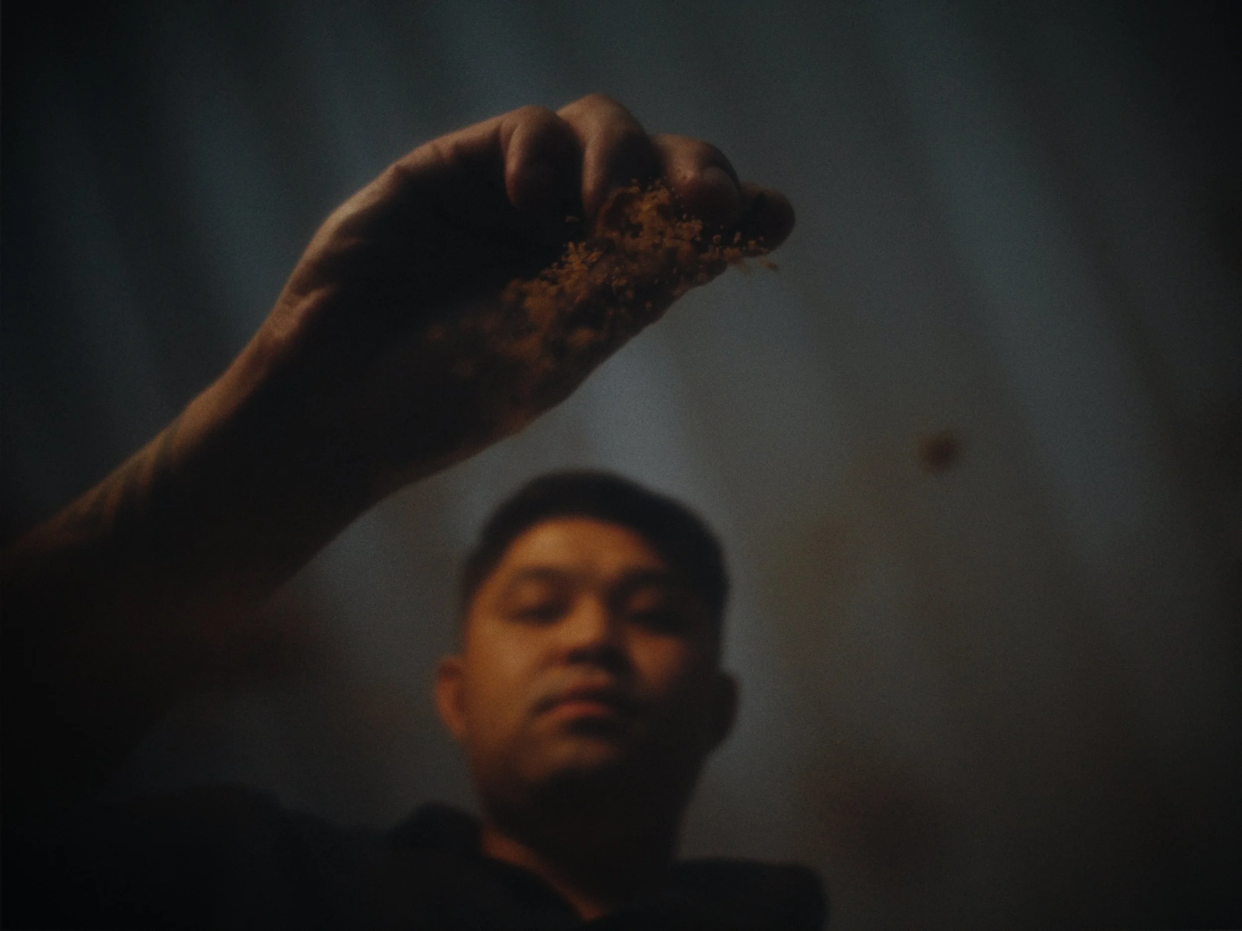 GradedStills_1.31.1.jpg