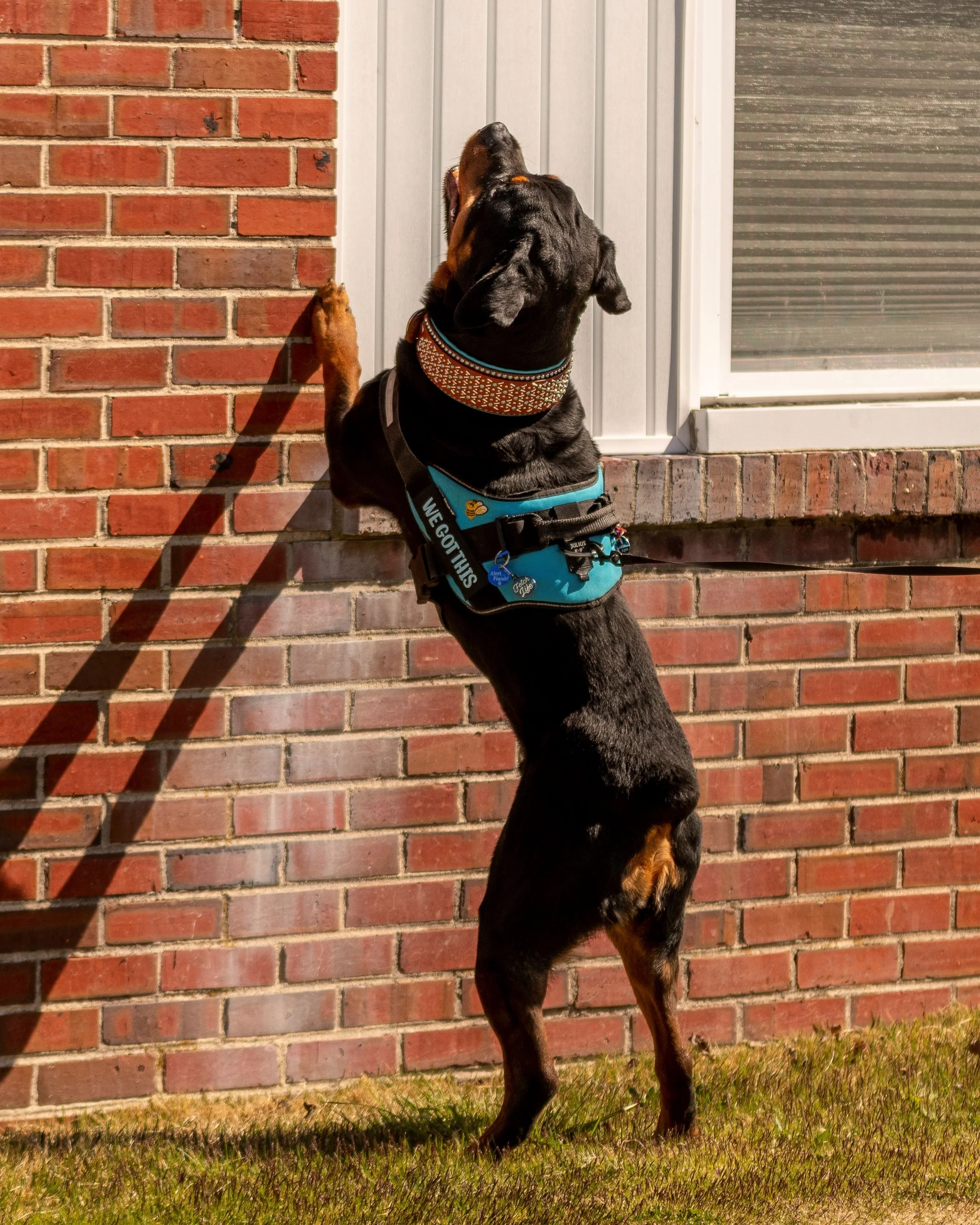 The Exterior Element - from Novice to Detective