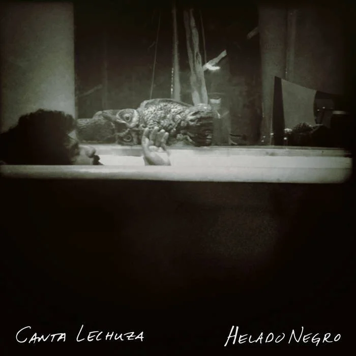 Music — Helado Negro
