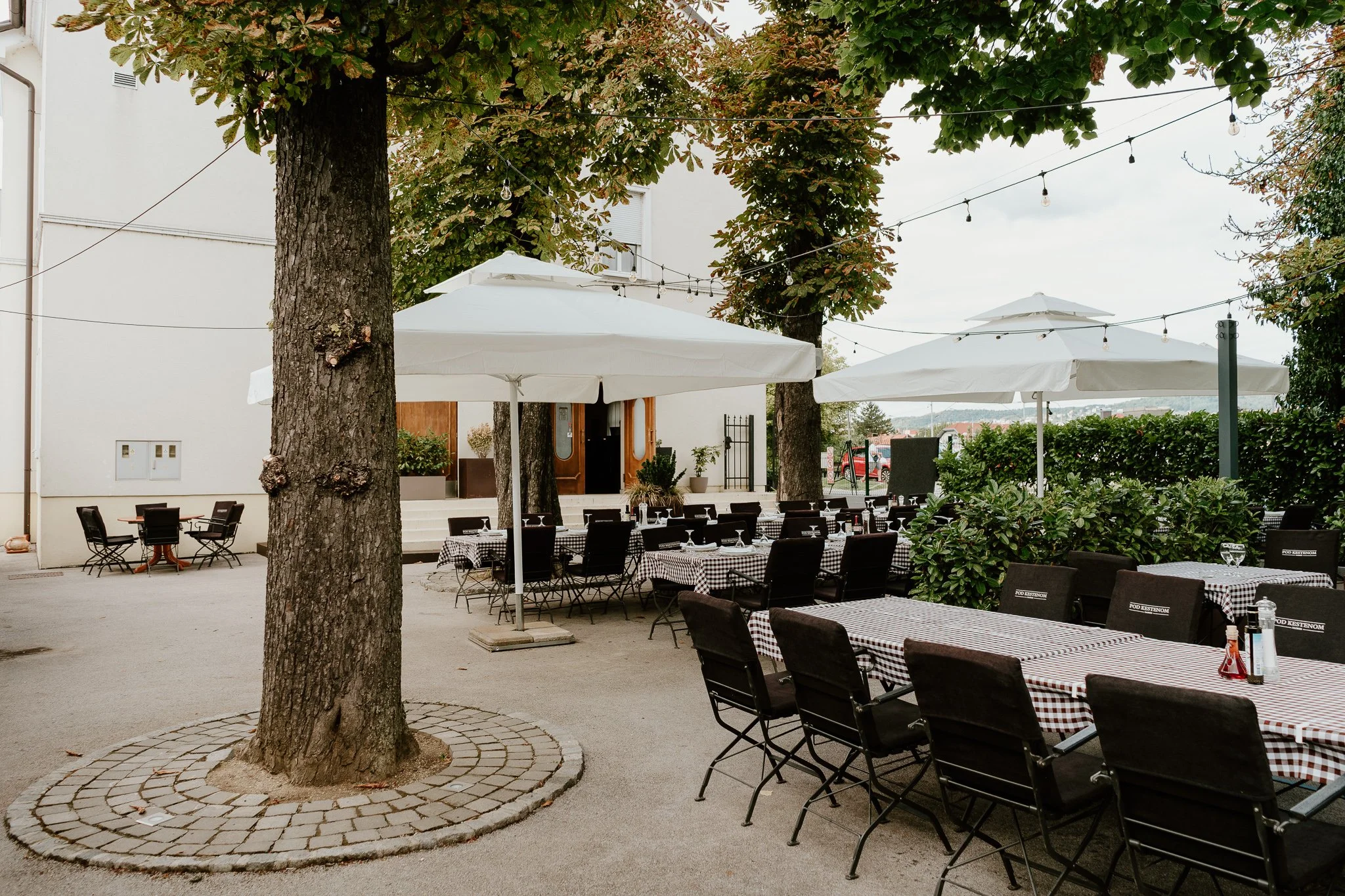 podkestenom_ds (9 of 58).jpg