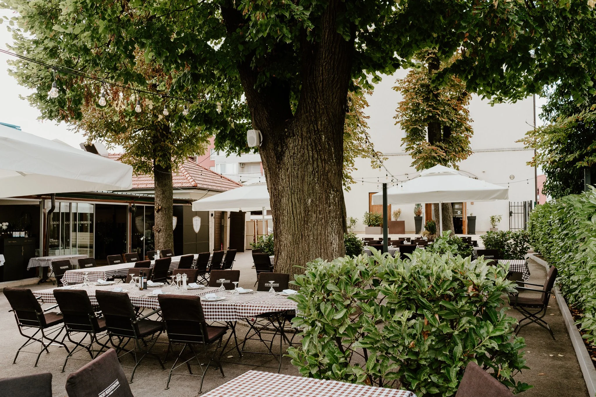 podkestenom_ds (8 of 58).jpg