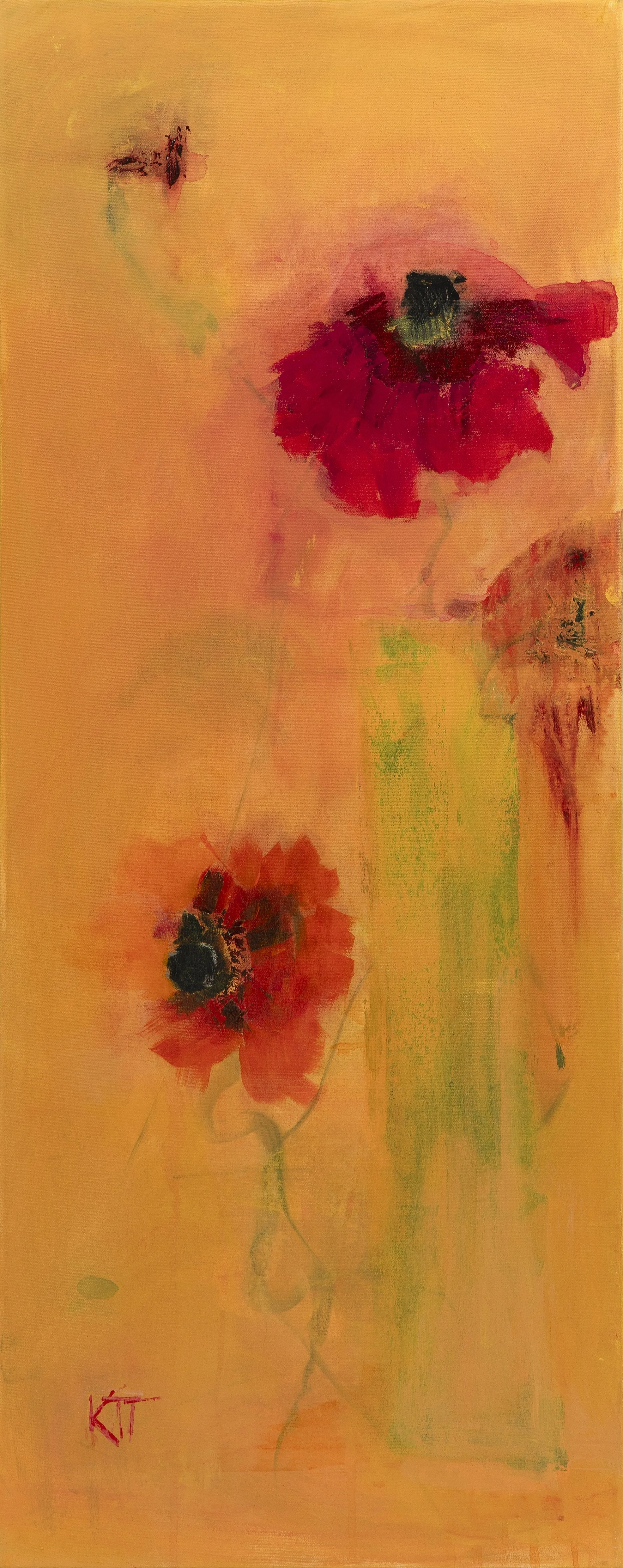 Broken Poppies