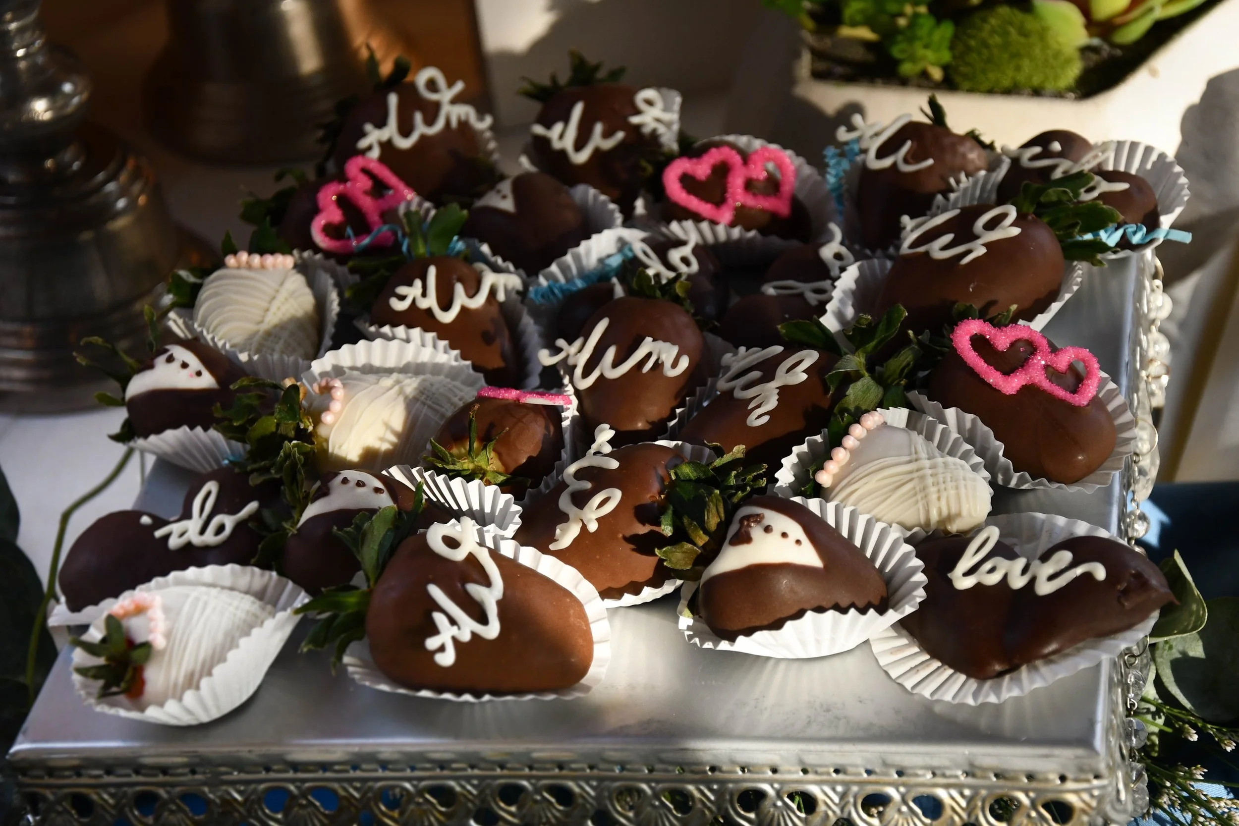 Alexis and Michael Wolf's Wedding Final-278.jpg