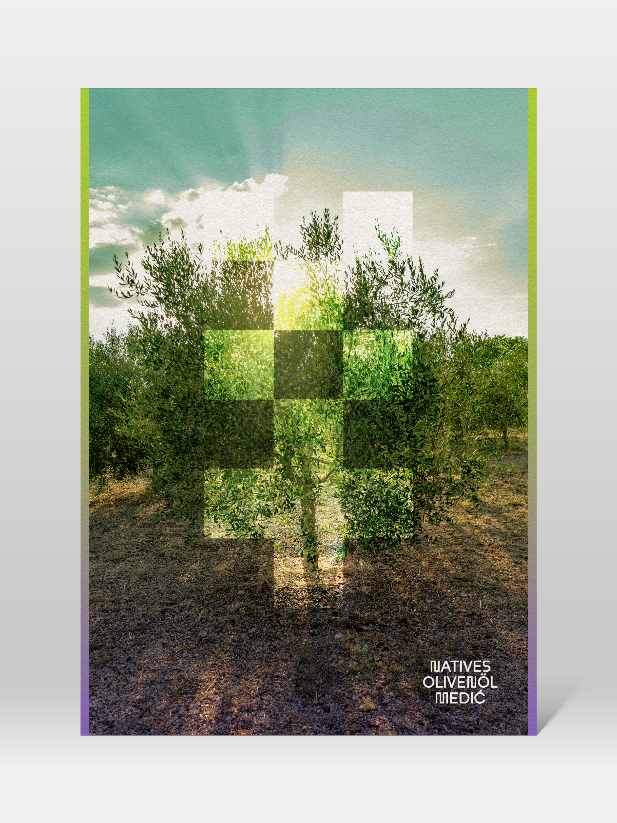 MO Postcard@3x.webp
