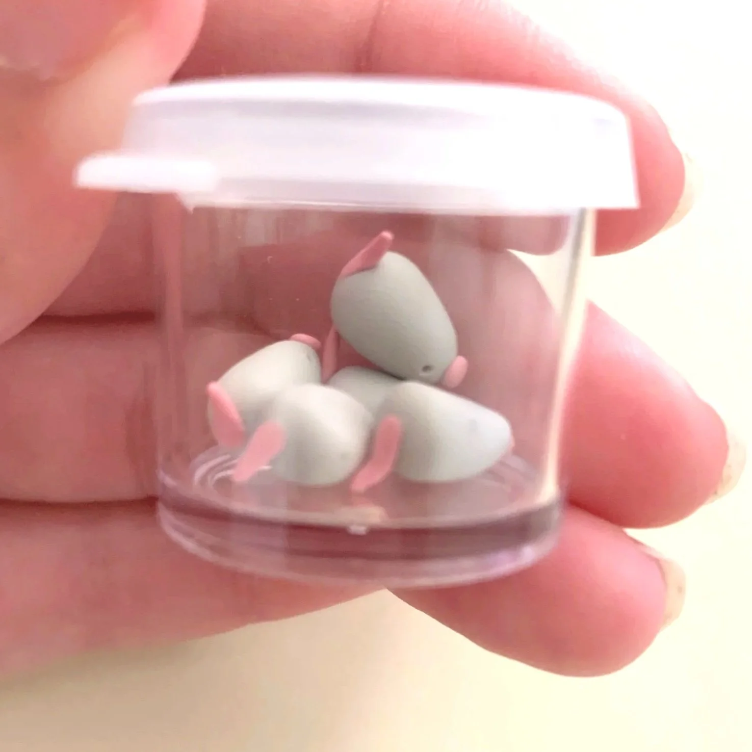 Tiny Jar with Five Tiny Rats