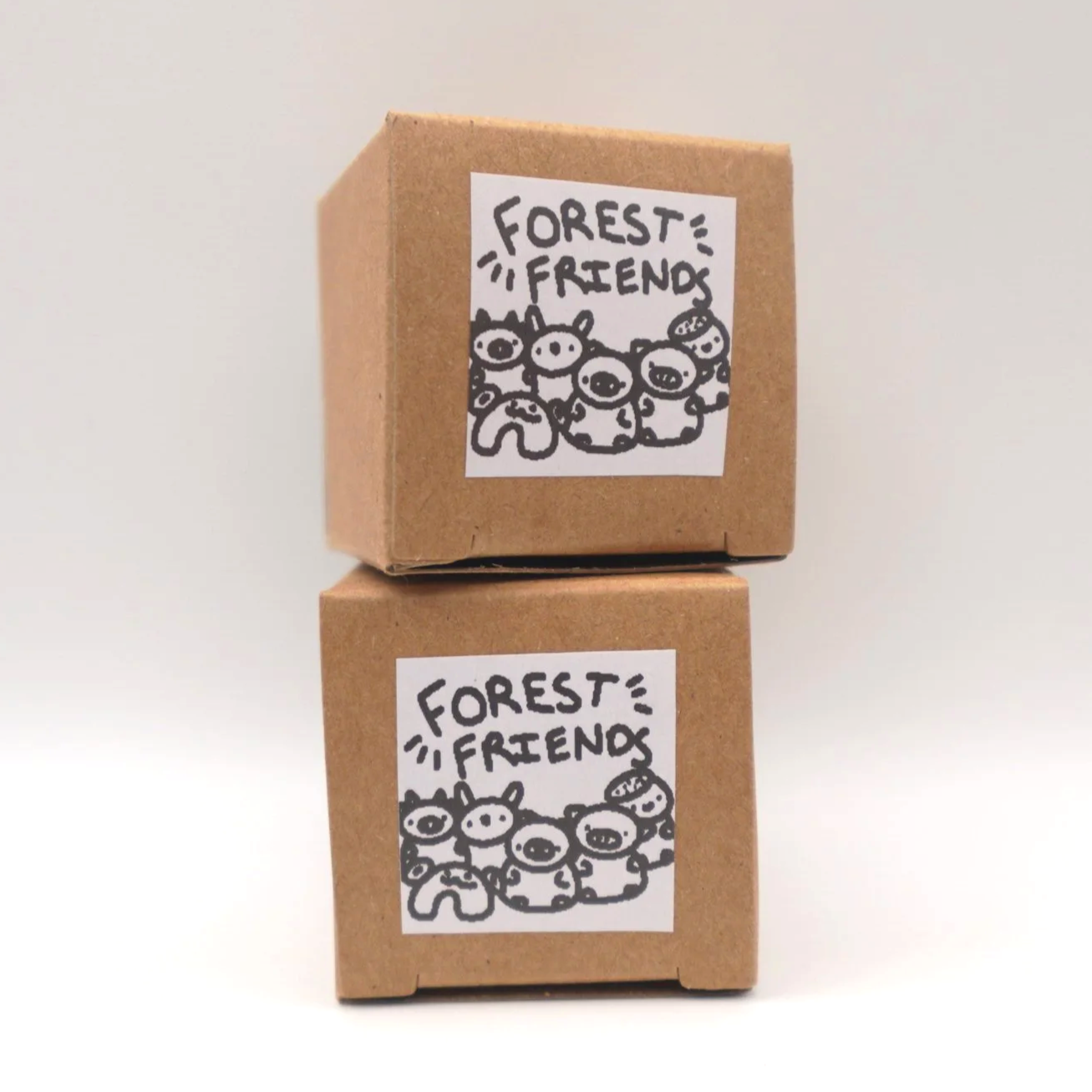 FOREST FRIENDS MYSTERY BOX
