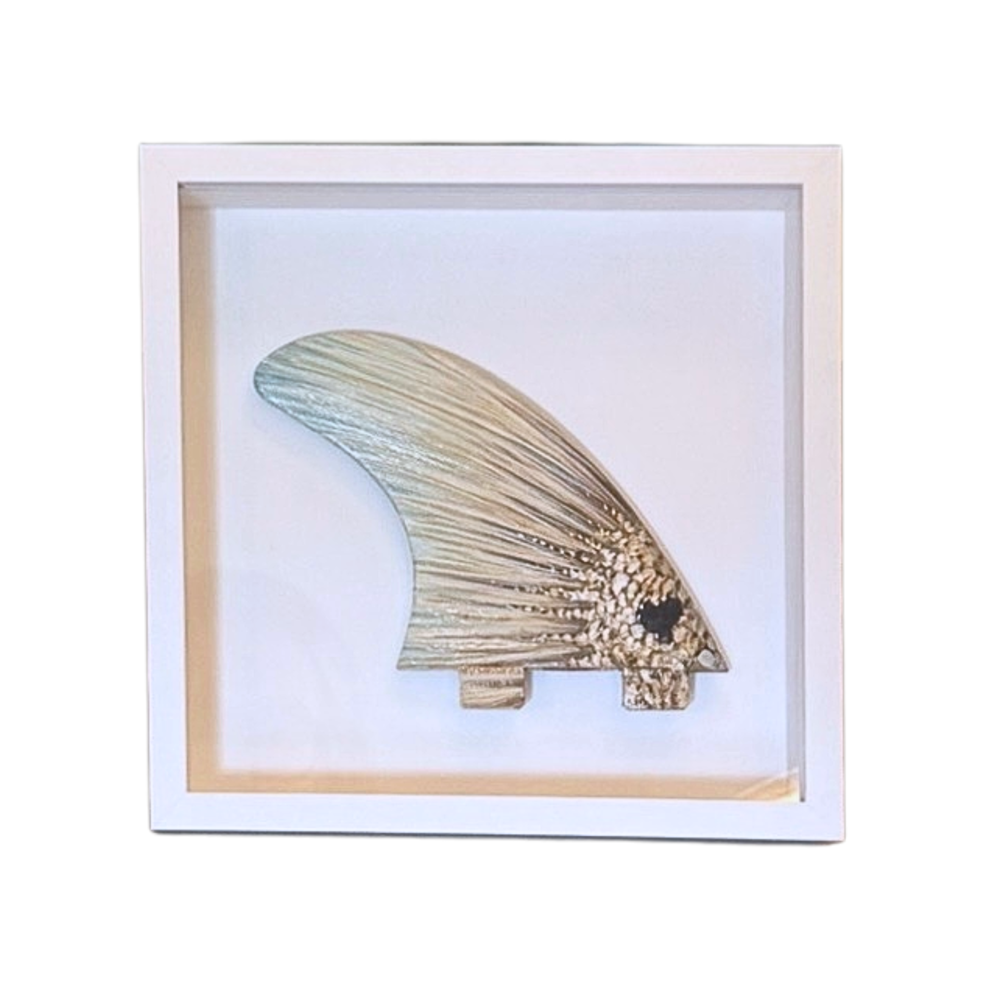 redfish fin white background.png