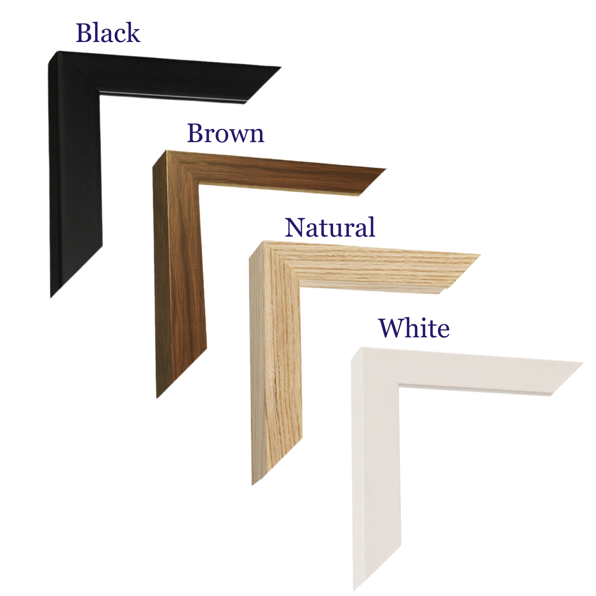 frame colors (2).png