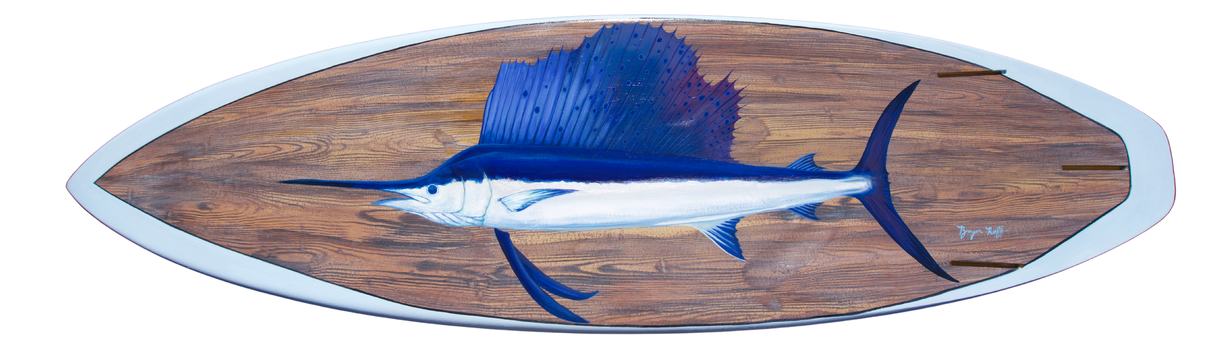 sailfishboardtrans (1).png