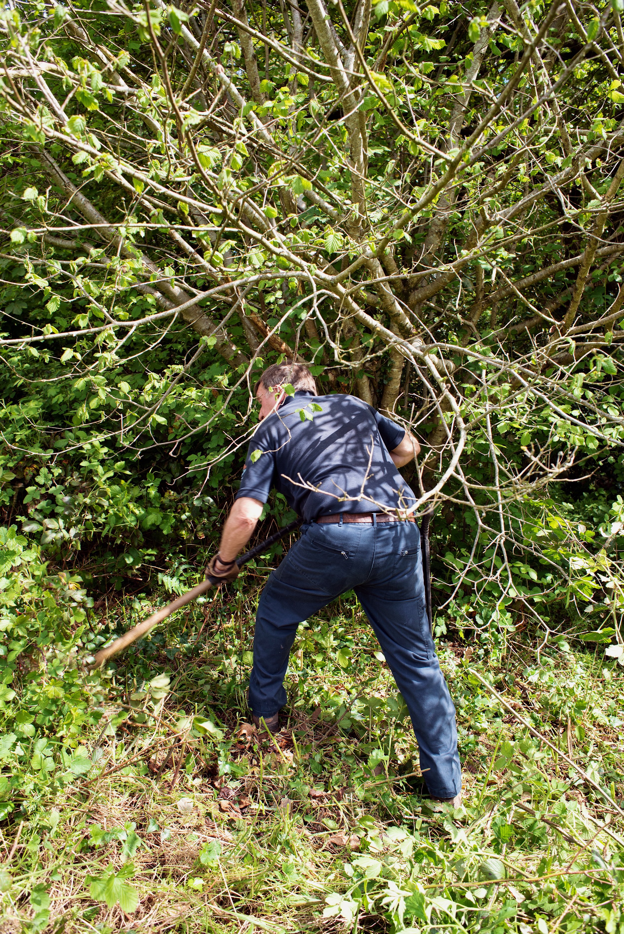 26 bush cutting v.JPG