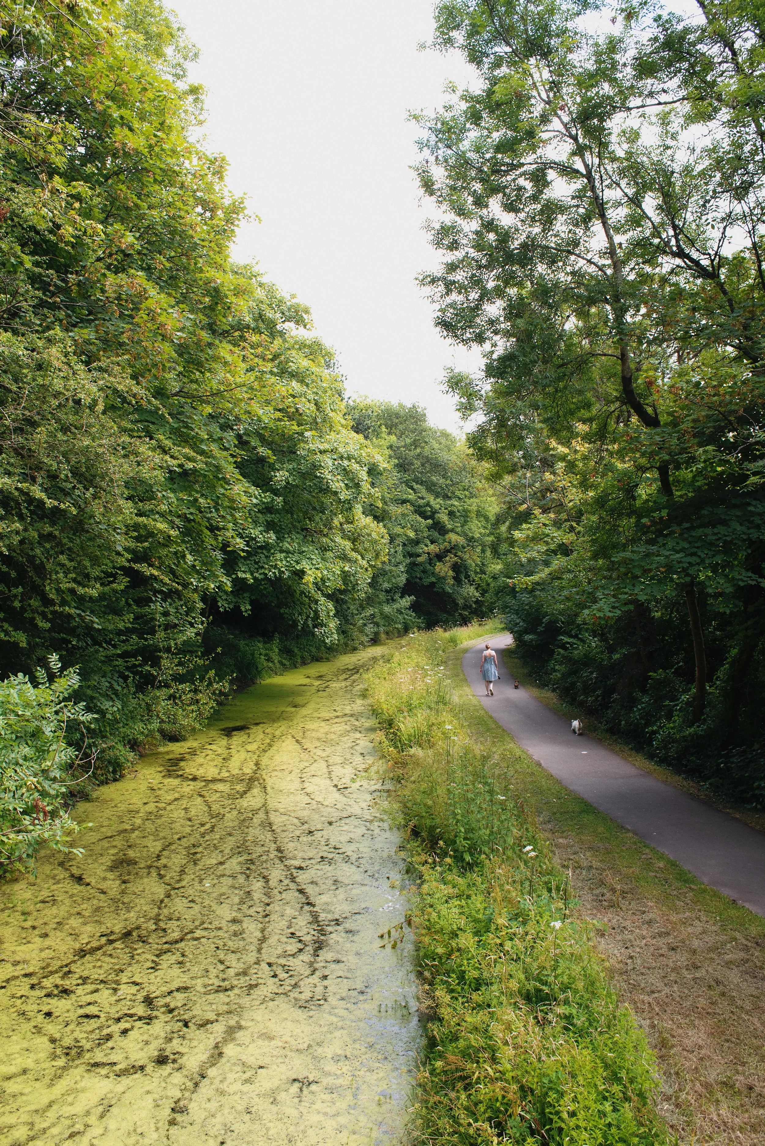 15 canal path from bridge.JPG