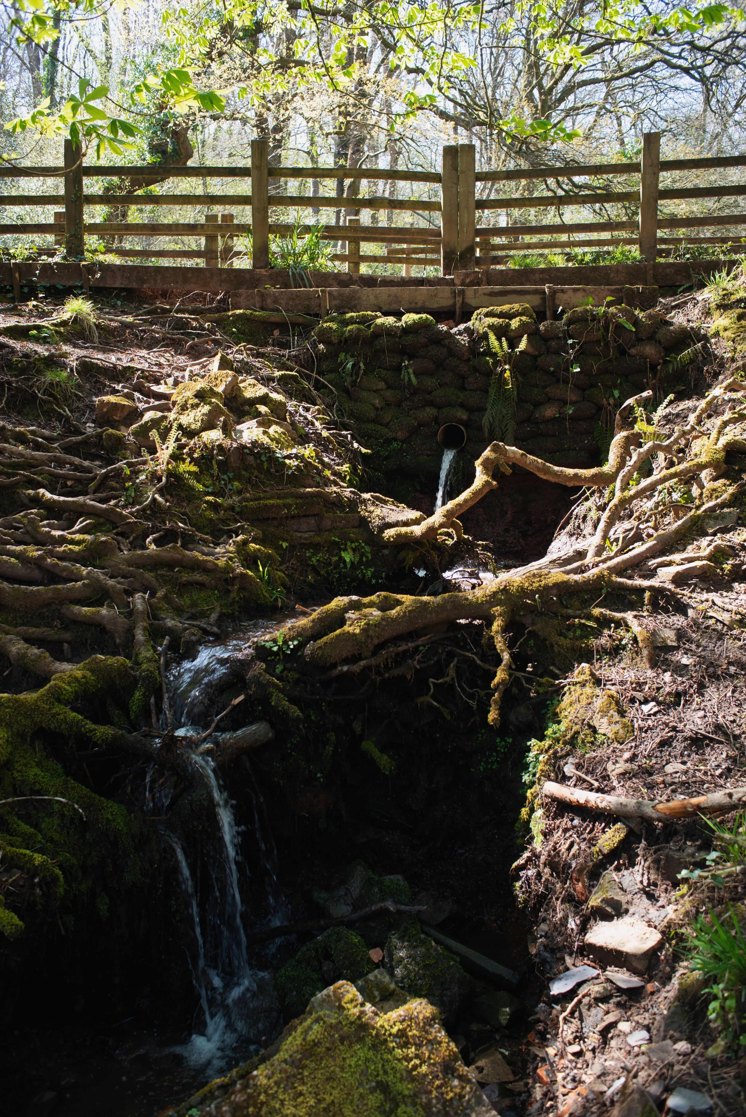 29 stream waterfall v.JPG