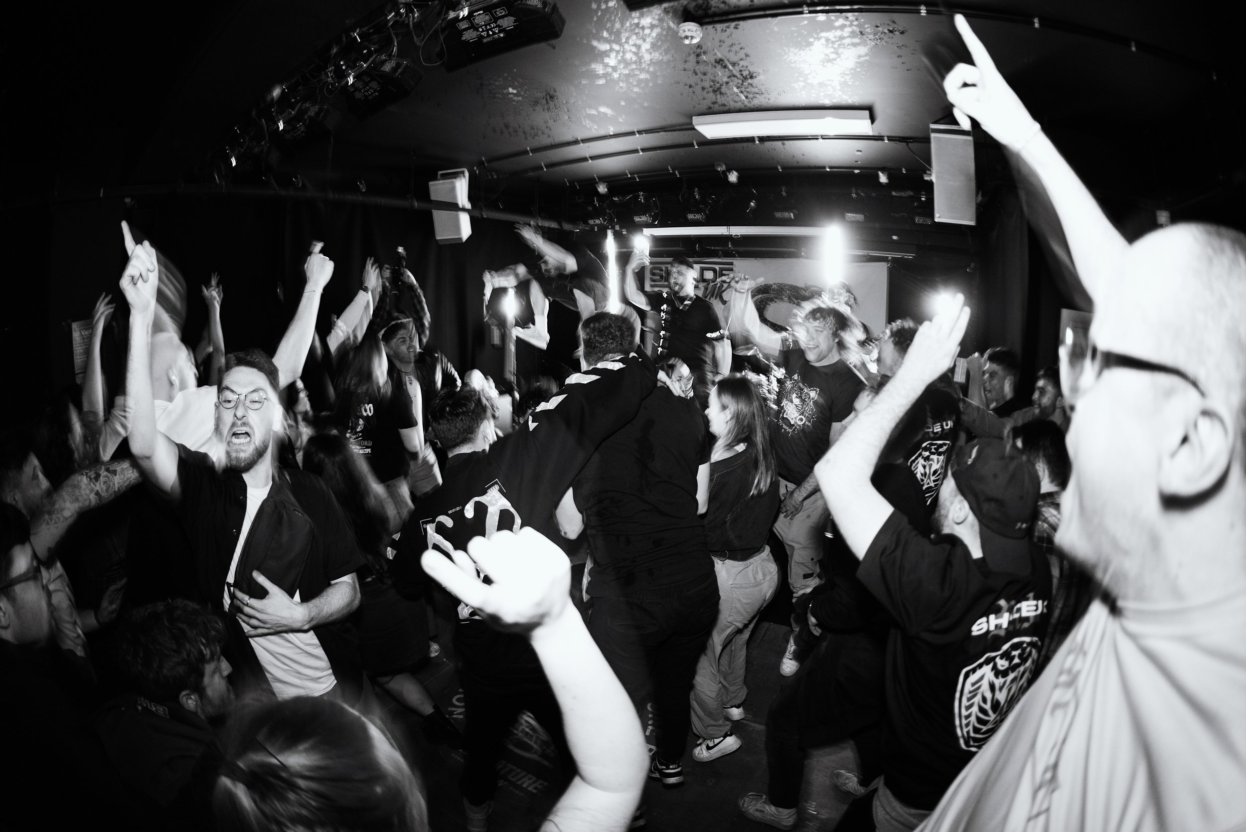 22 crowd going wild v.JPG