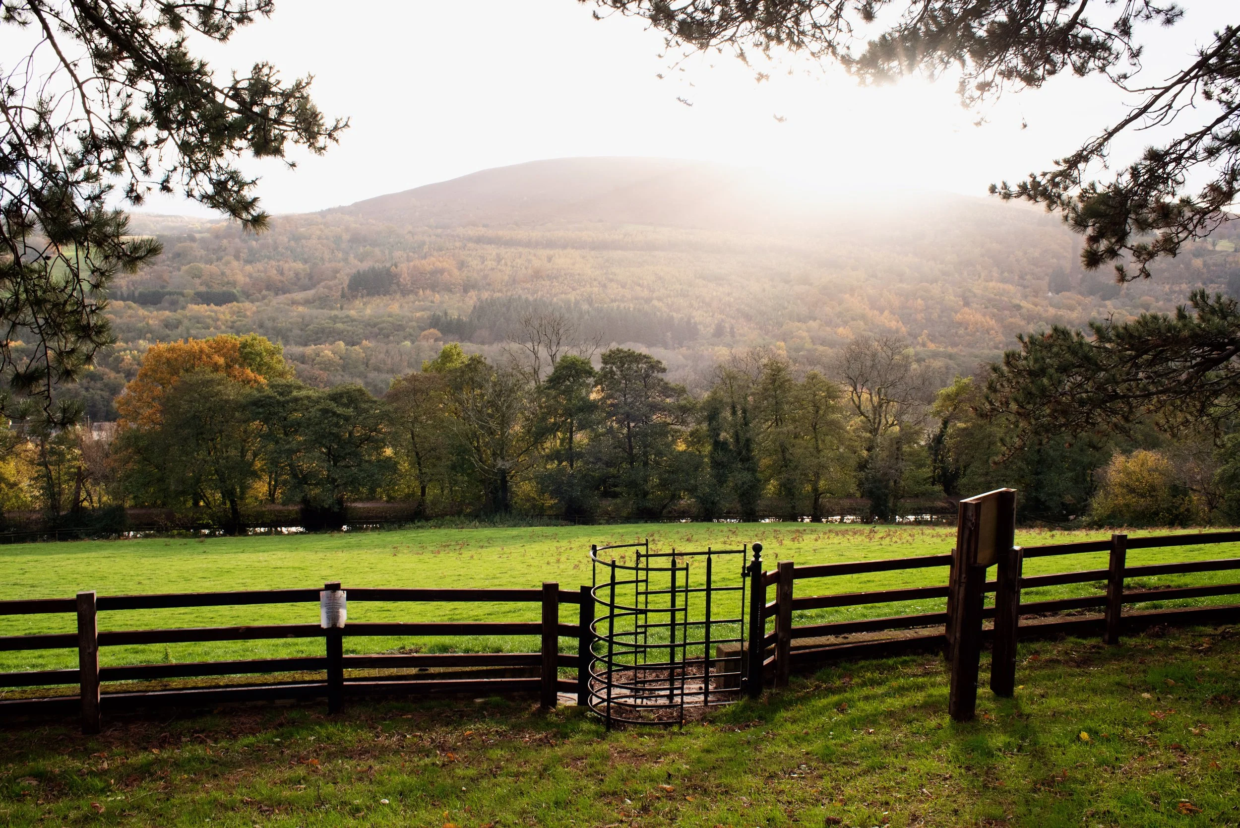 6 miners grave view v.JPG