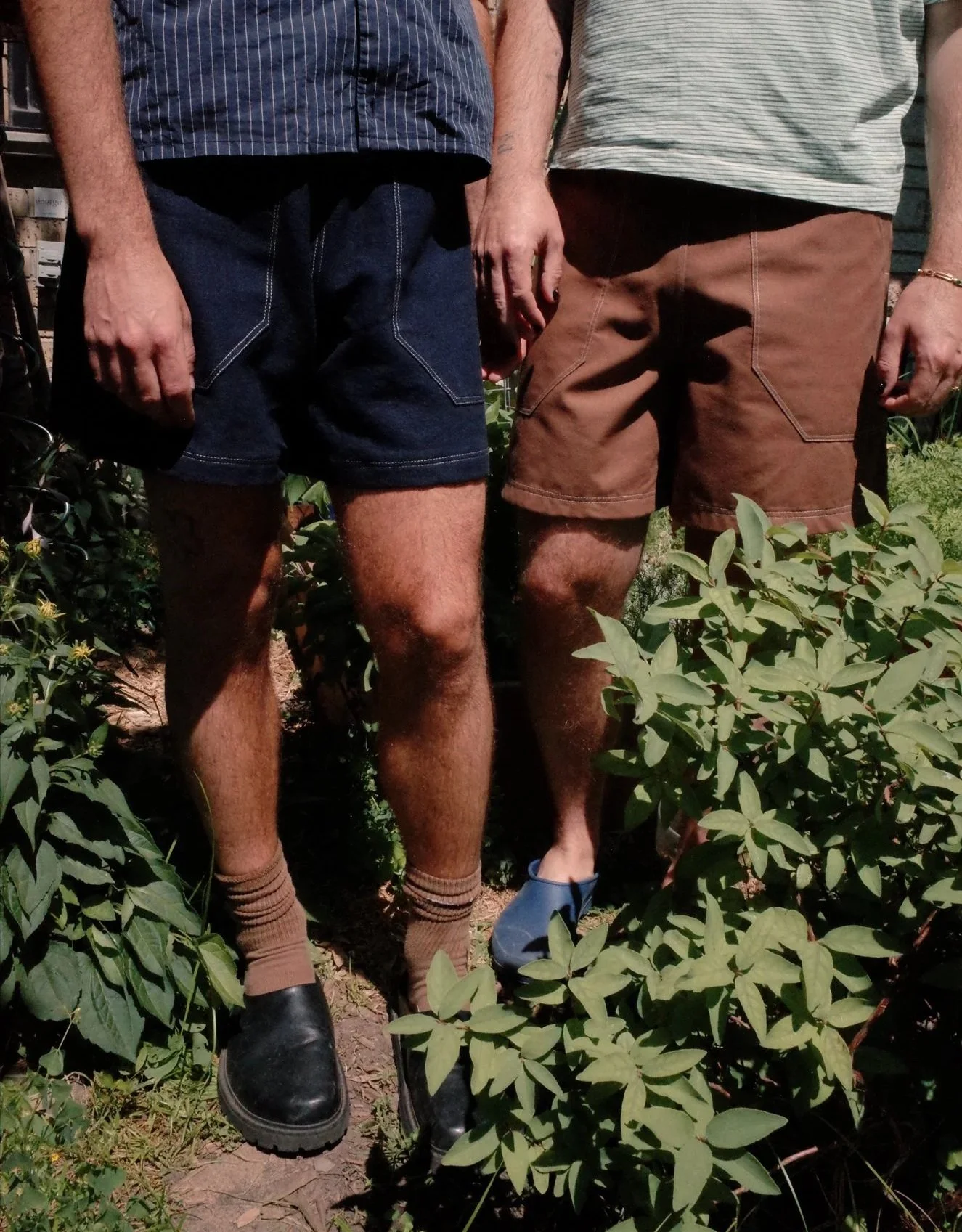 Pathway Shorts