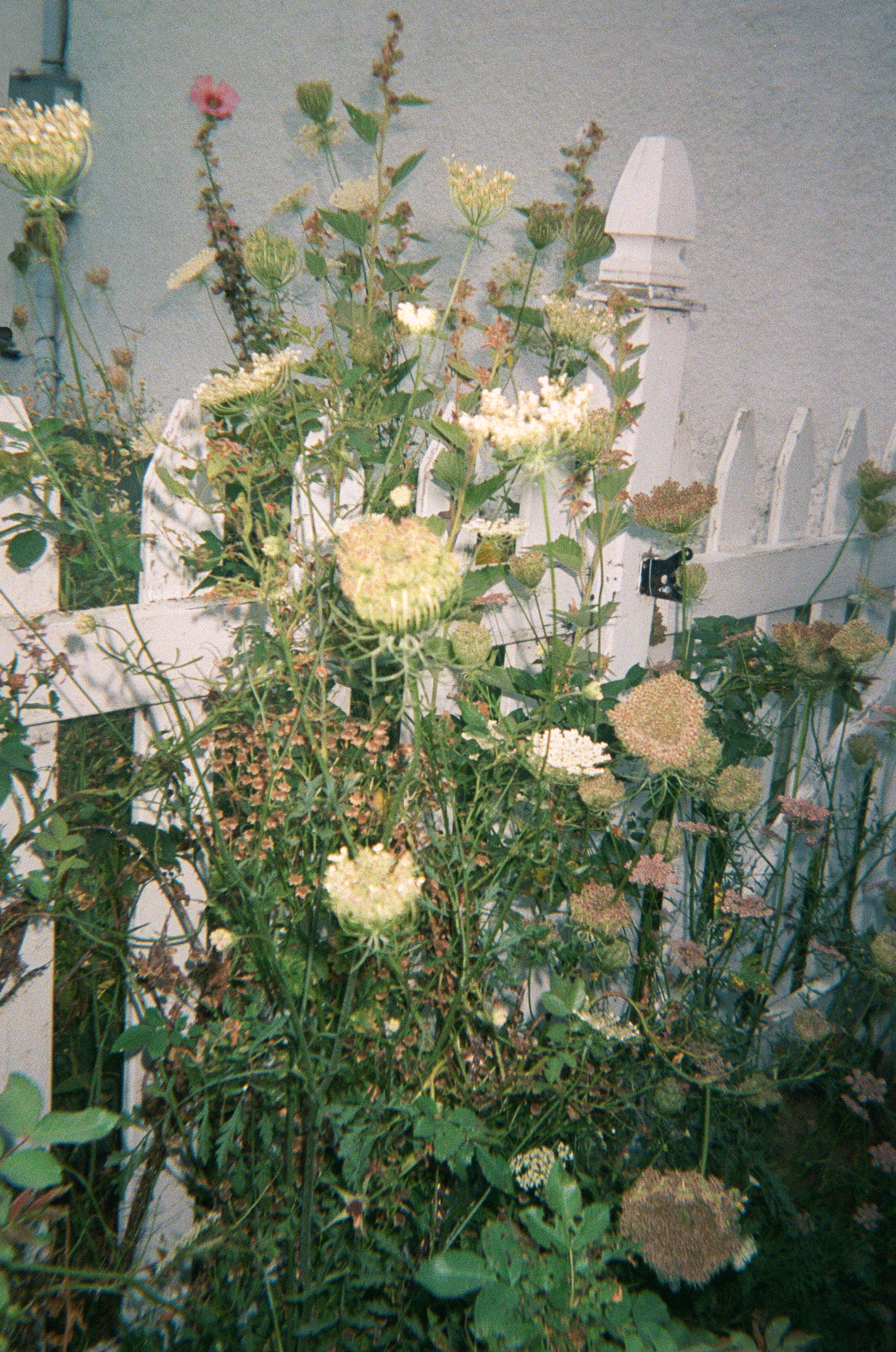 springsmock_gardenc.png