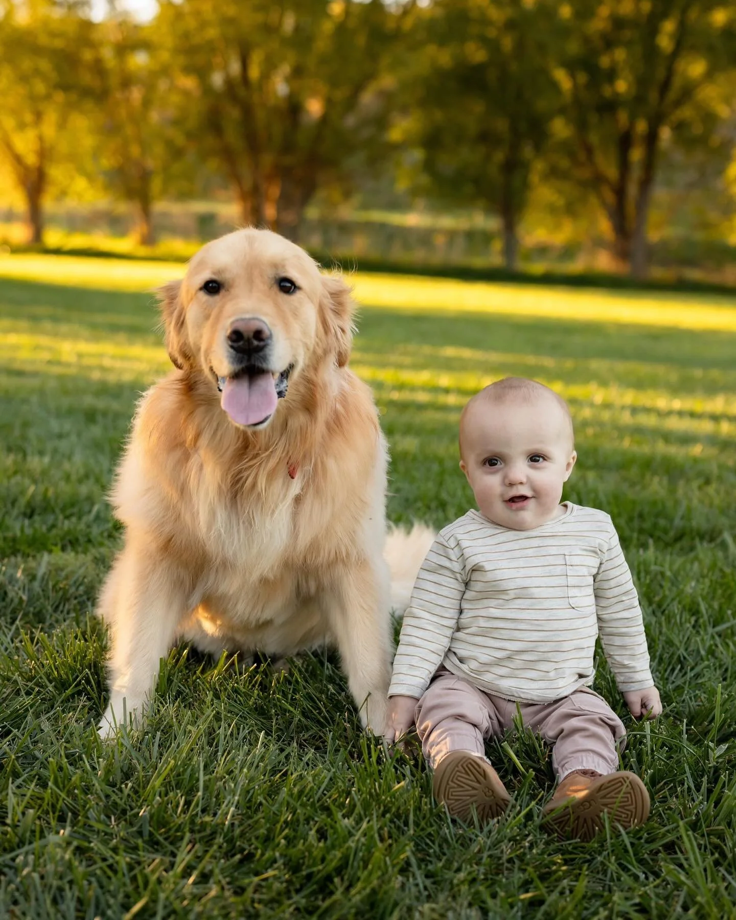 The Feuker/Kallman family featuring the best pups 🐶🐶