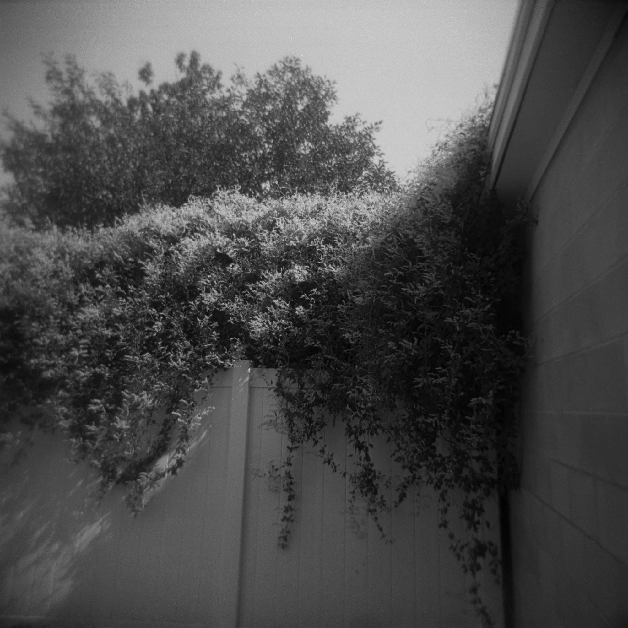 Holga-Silence Project-002.jpg