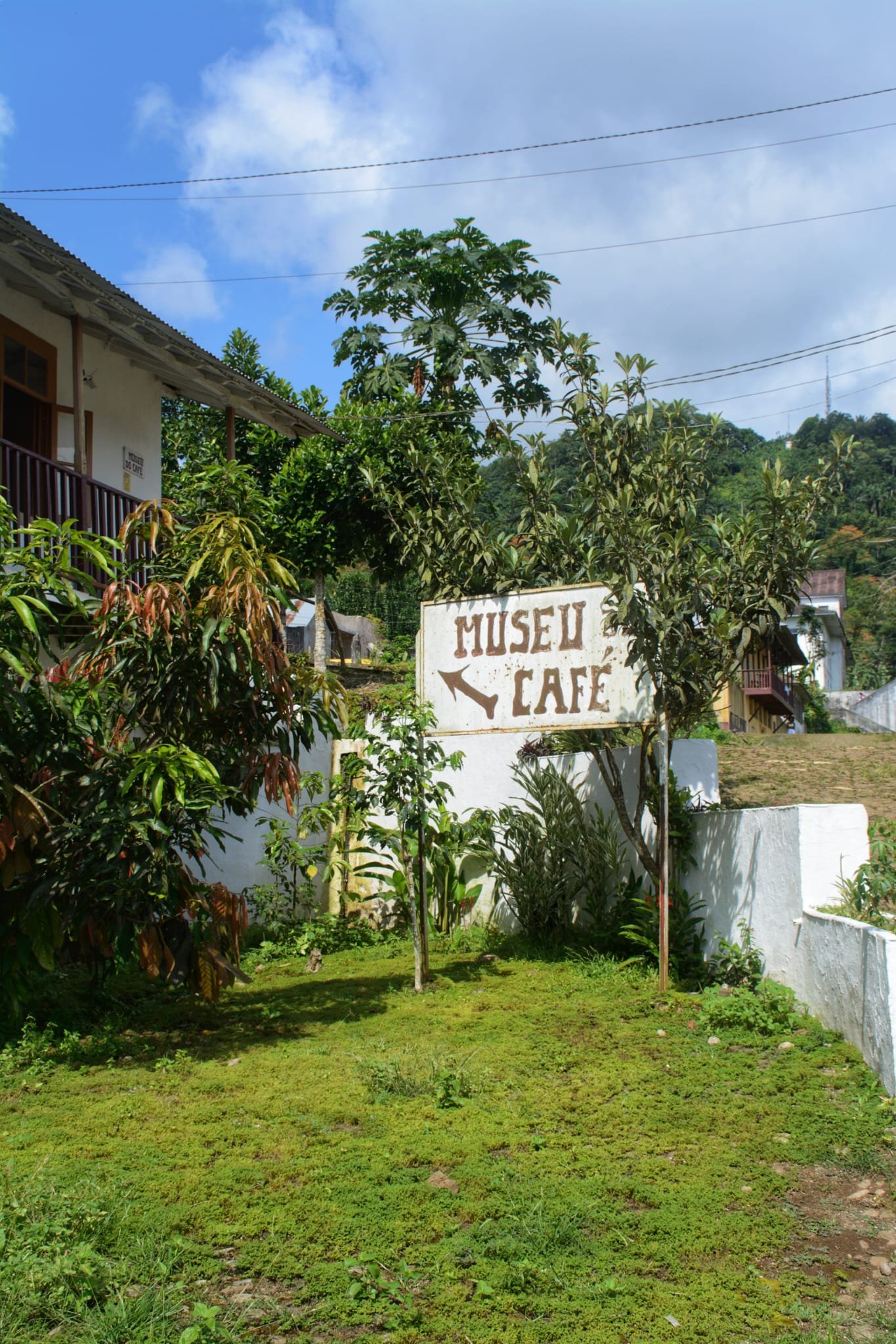 Monte Café : cacao, collines et découverte locale - Randonnée Sao Tomé