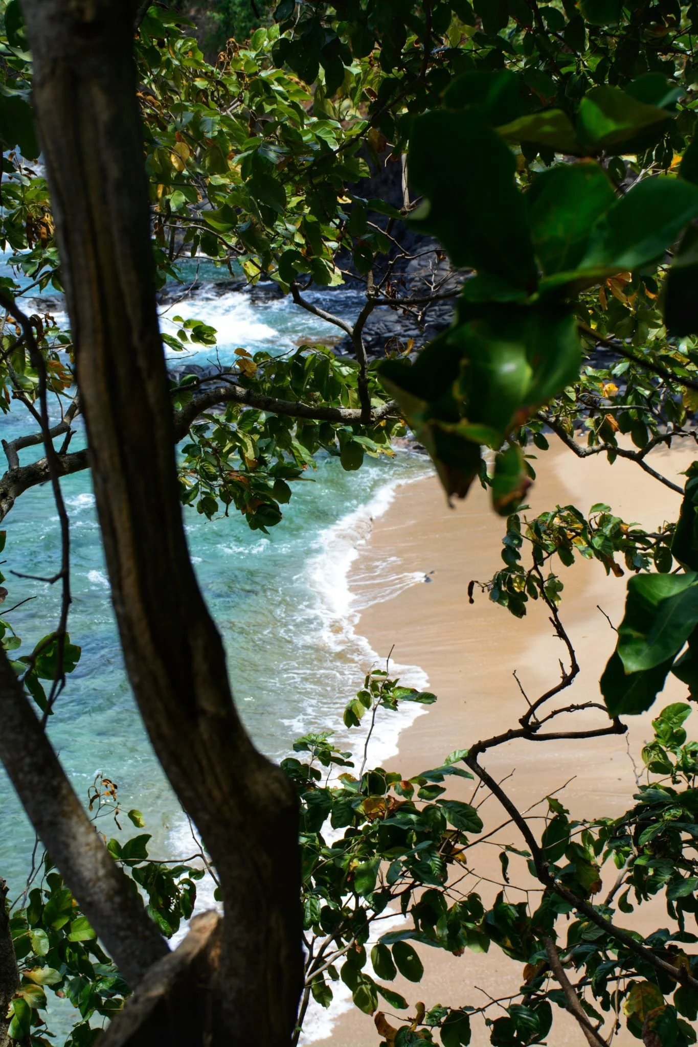 Plage São Tomé - Agence Voyage - Tourisme - Circuits - Réserver