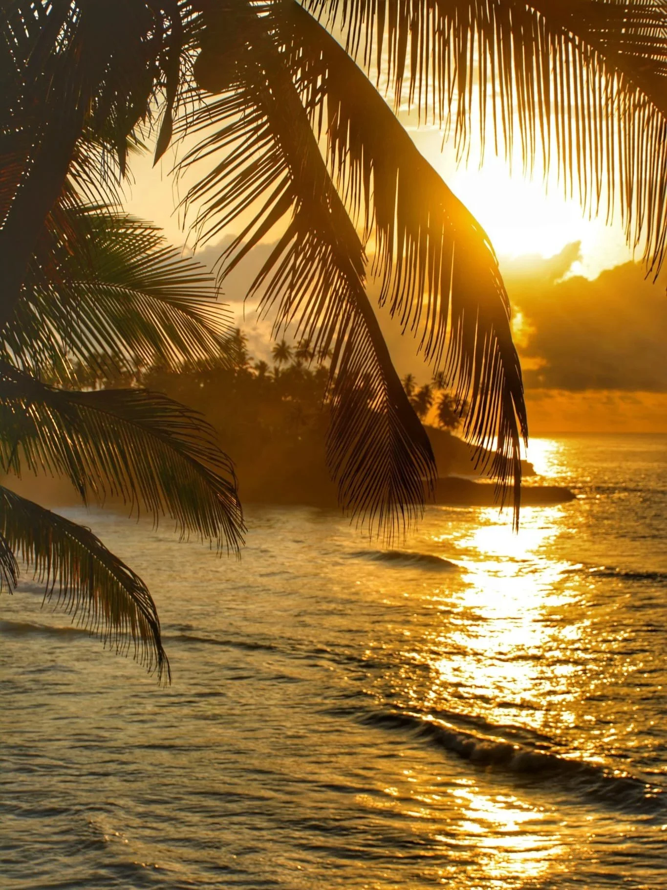 À quelle saison partir à São Tomé : météo et conseils pour un voyage réussi