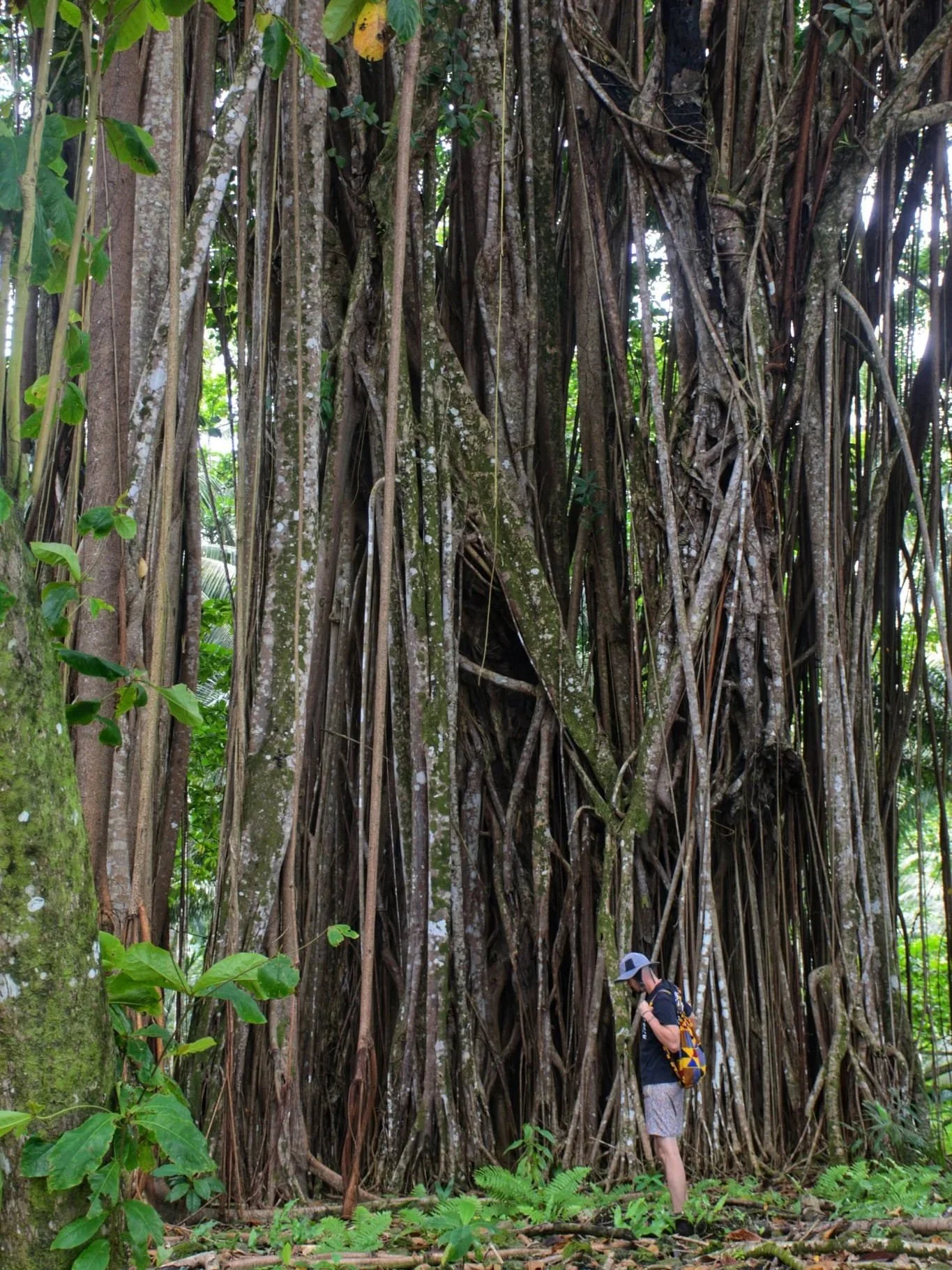 Les meilleures randonnées à São Tomé
