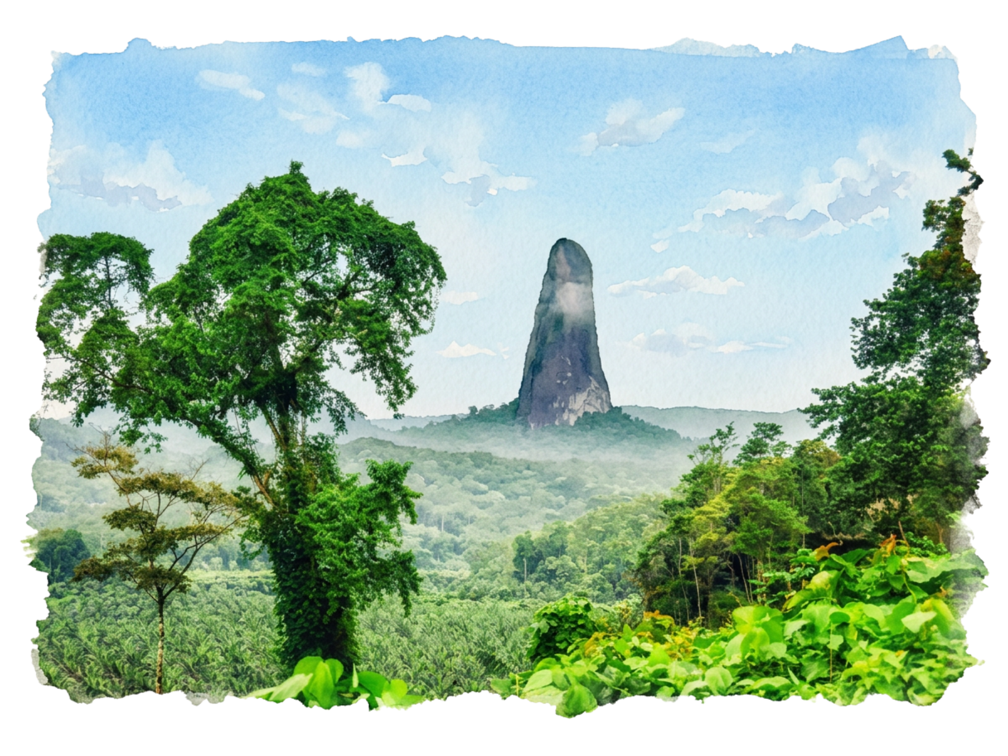 Randonnées au cœur du Parc Ôbo 