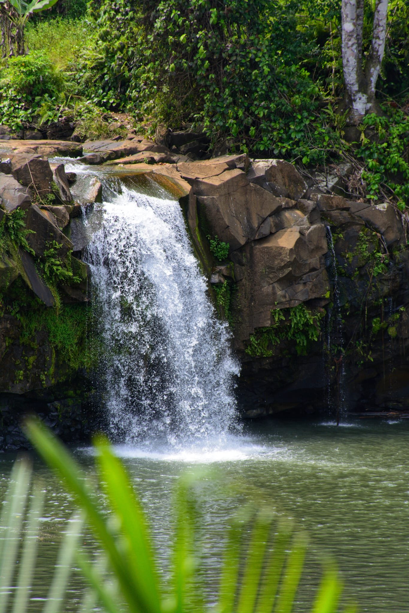 Cascade São Tomé - Agence Voyage - Tourisme - Circuits