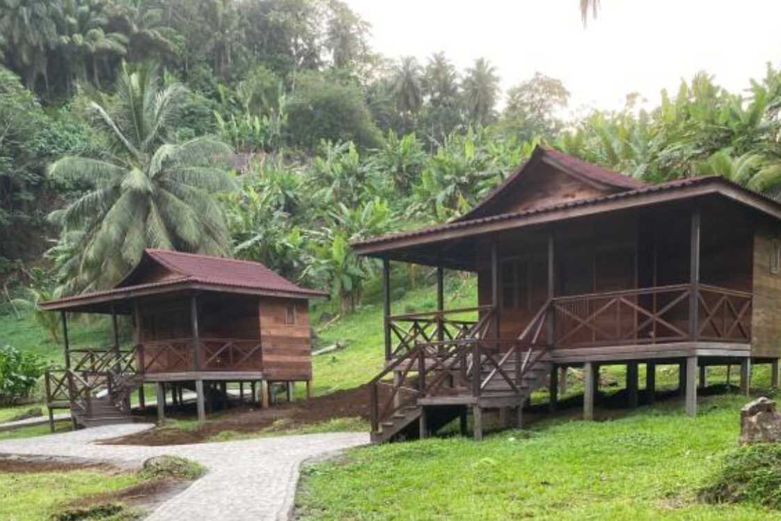 Deux cabanes en bois avec des toits en tôle, situées dans un environnement verdoyant dense avec des arbres tropicaux.