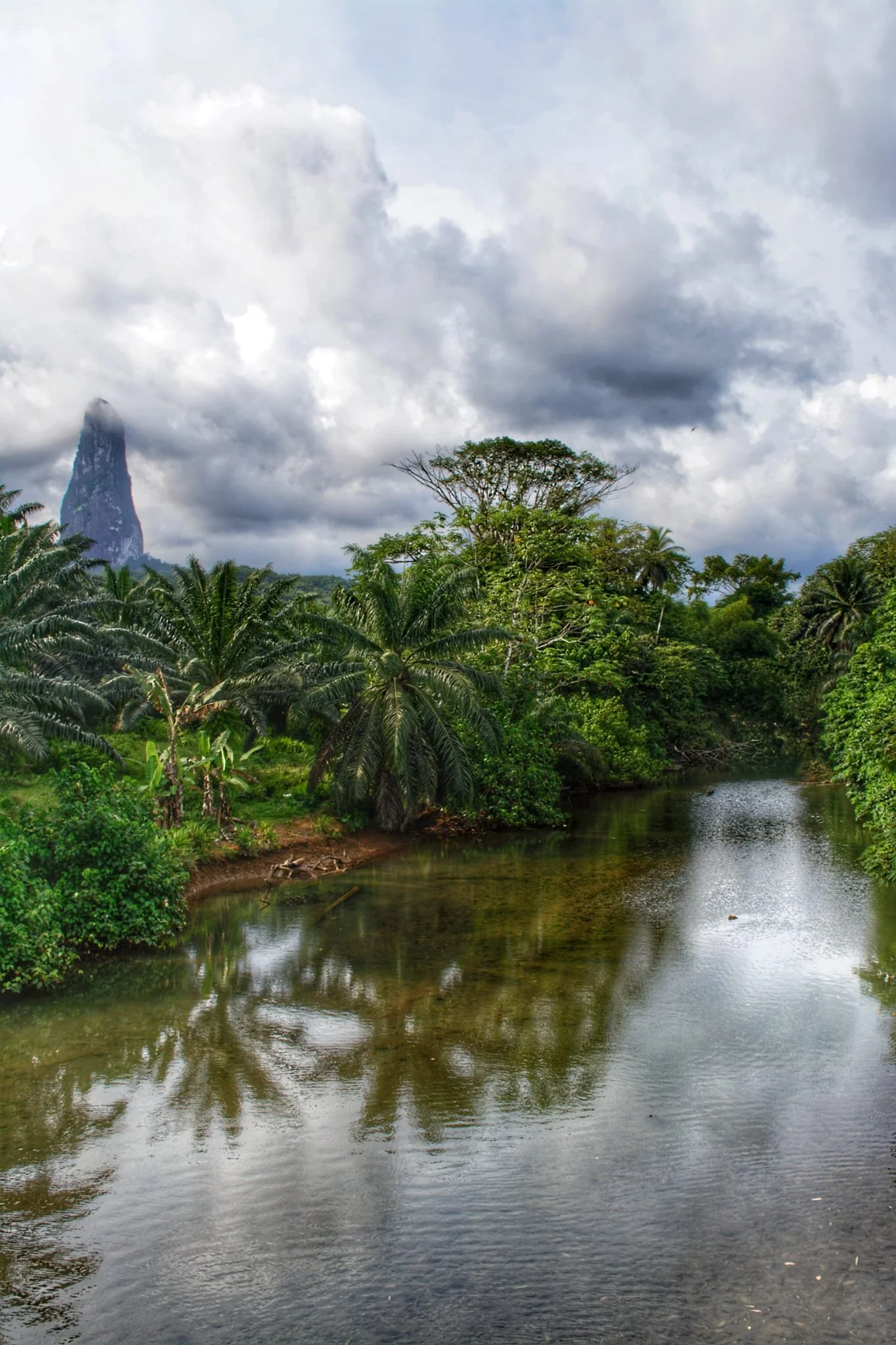 Une rivière entourée de végétation tropicale dense avec des arbres et des plantes vertes, un ciel nuageux et une montagne rocheuse en arrière-plan.