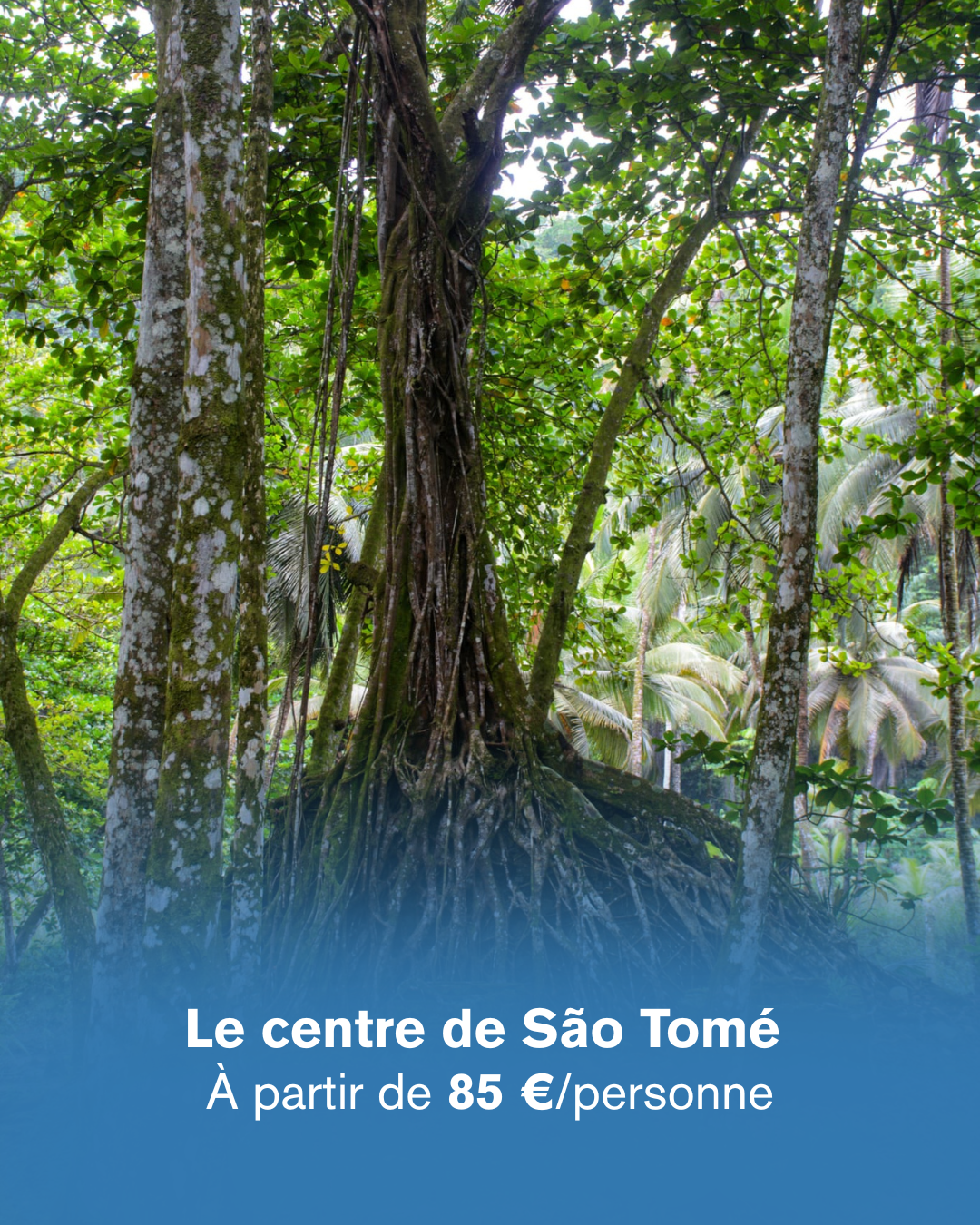 Tourisme São Tomé, Parc Obô, Excursions