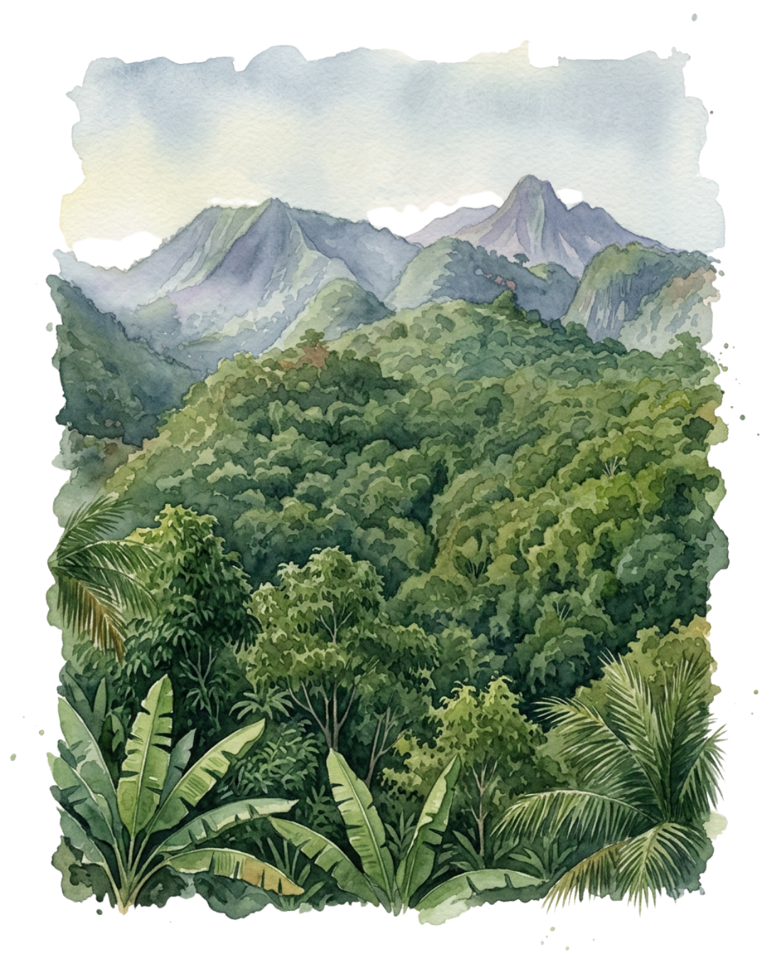 Randonnée - Pico de São Tomé : le toit de l’île