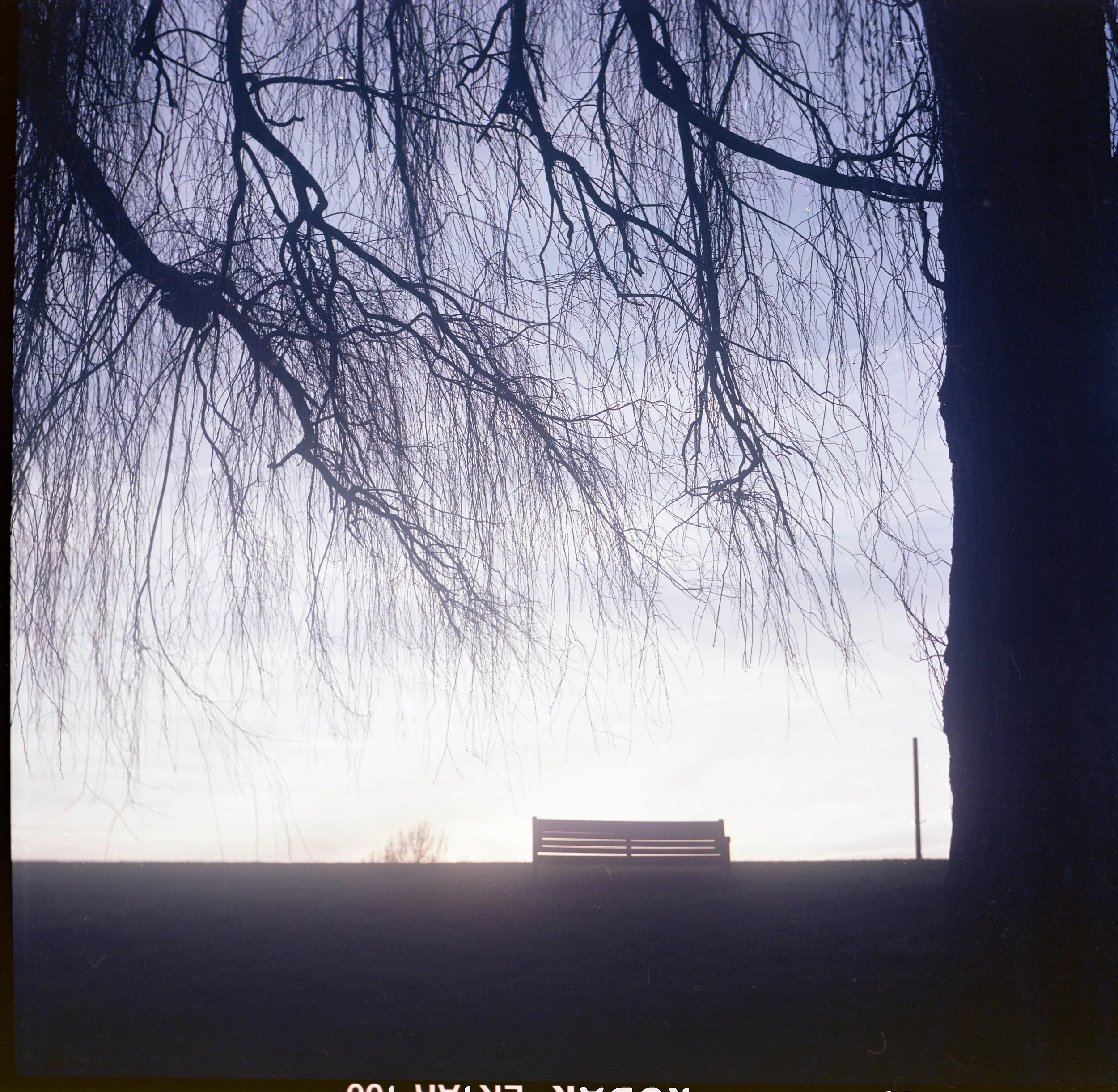 Untitled (2025)