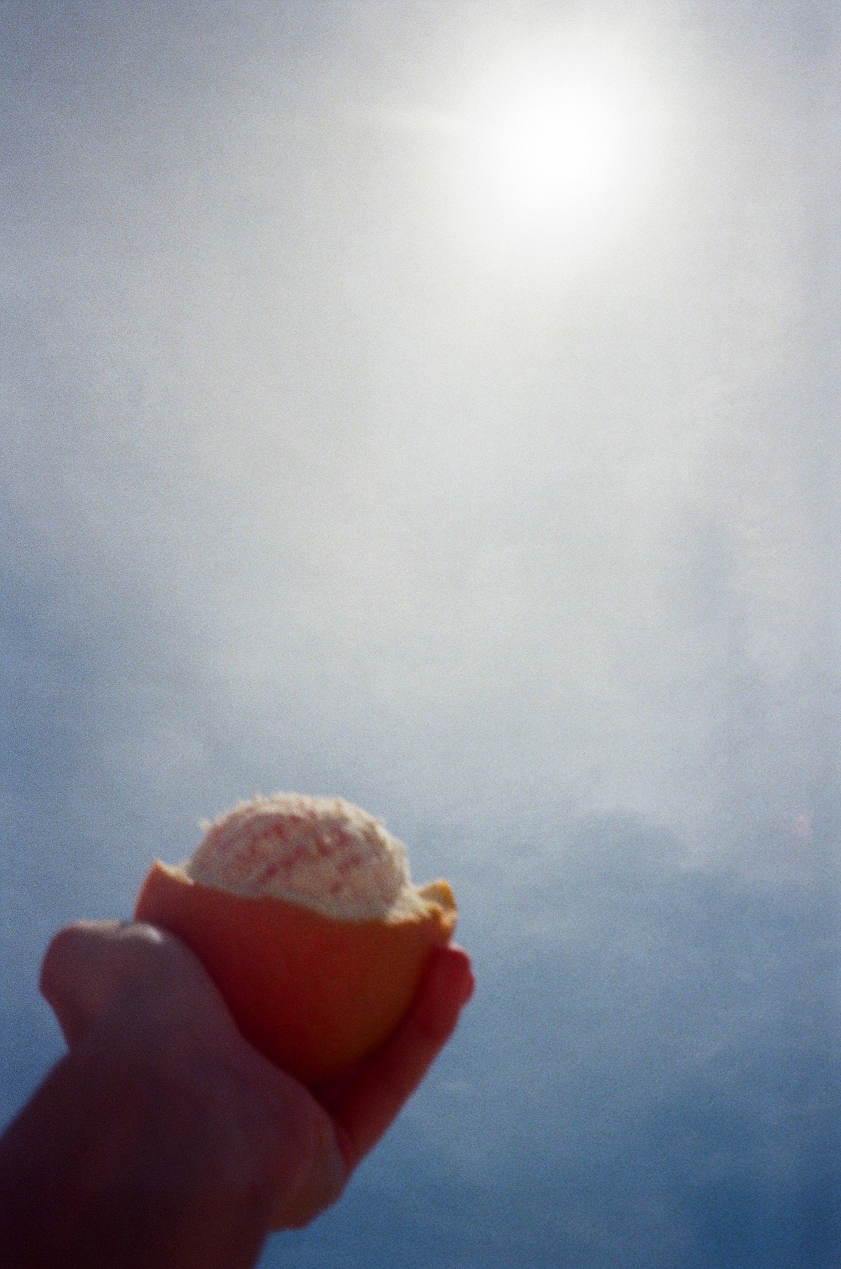 Manifestation 2