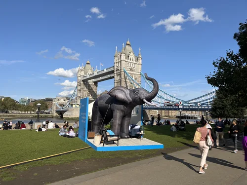 Nova Inflatable Advertising - Creative Inflatable Marketing Agency