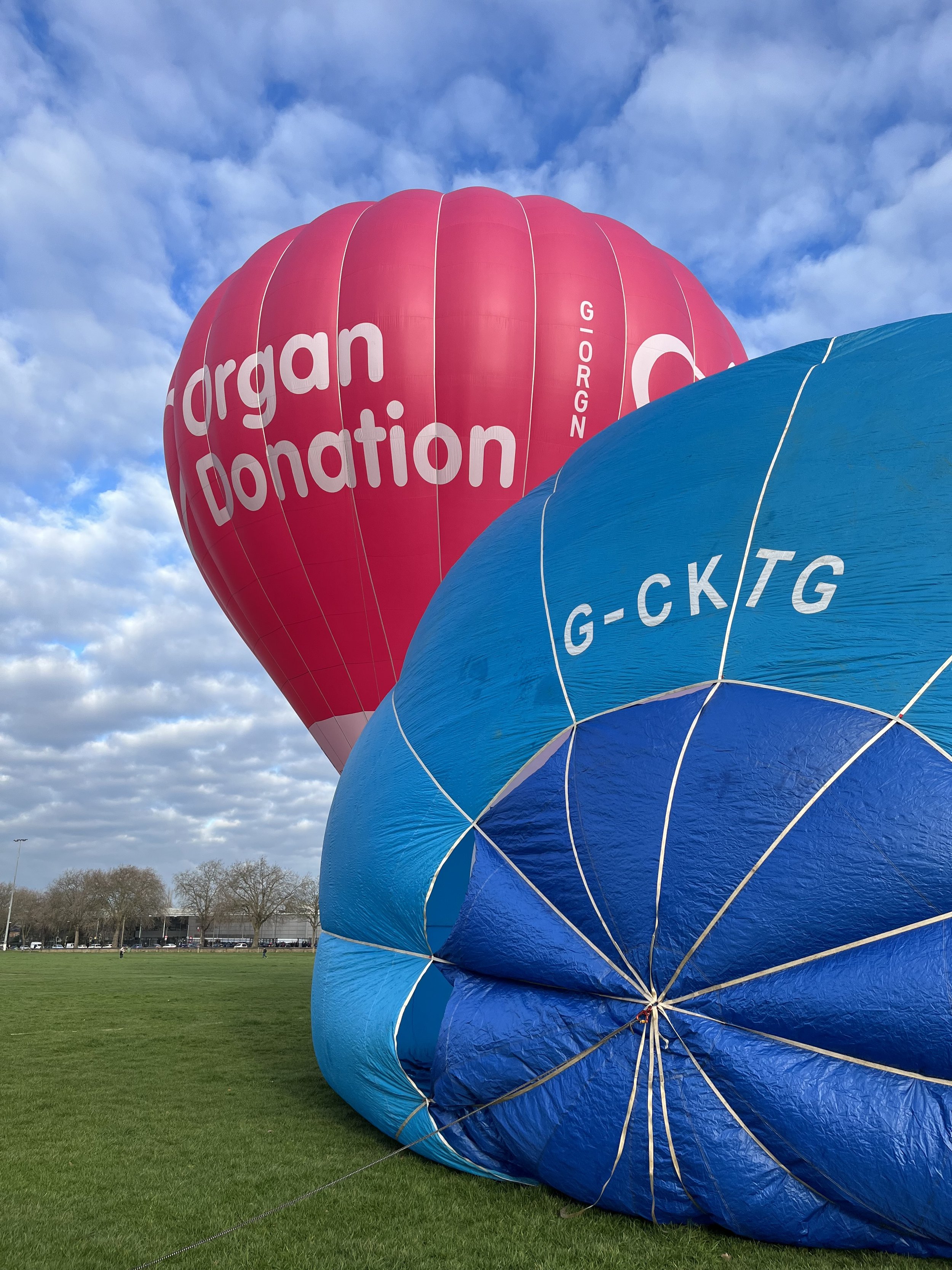 Organ Donation Hot air balloon