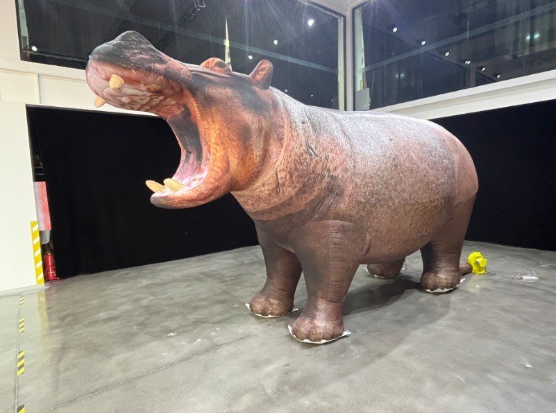 Giant Inflatable Hippo