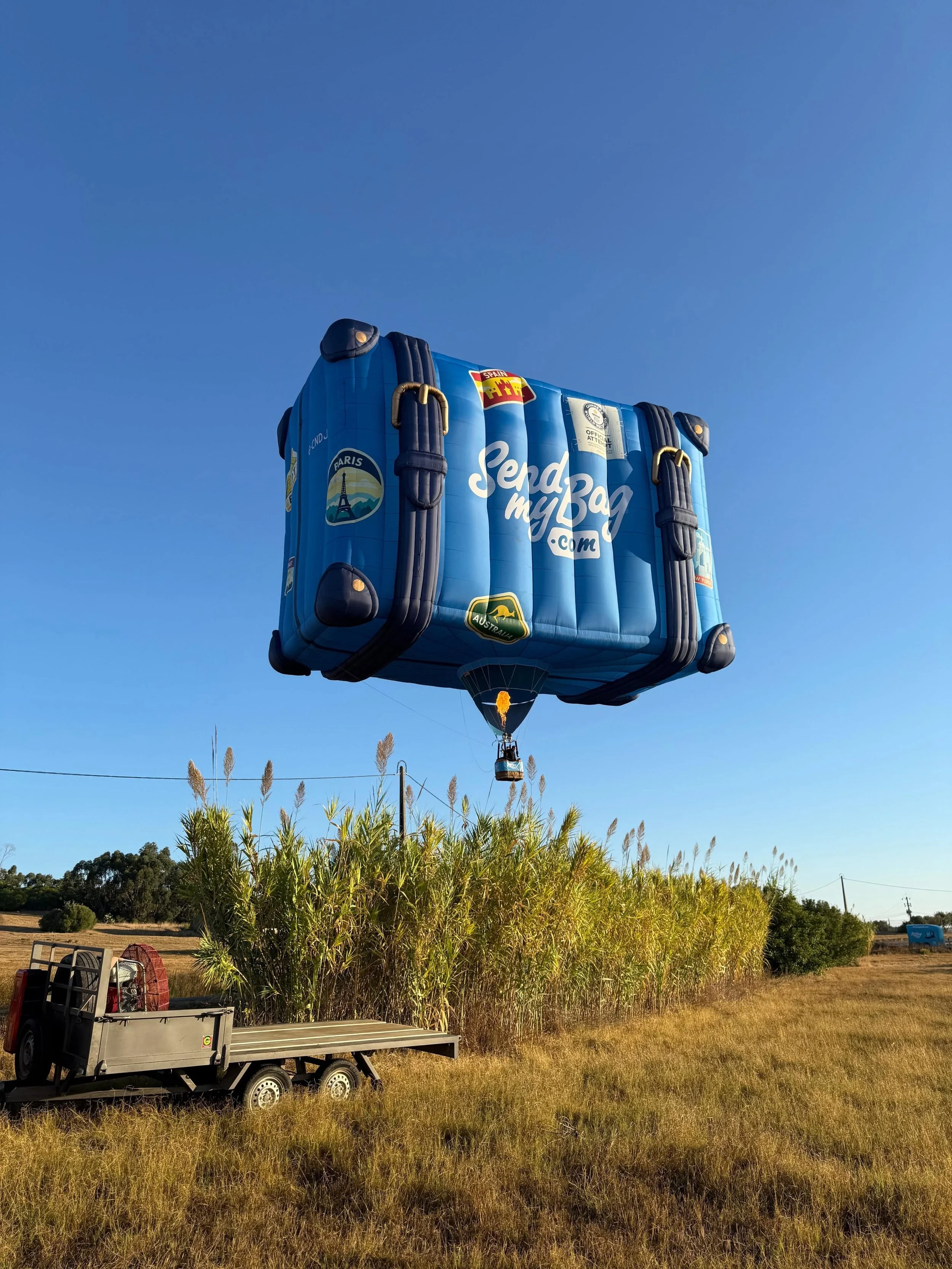 Special shape advertising hot air balloon