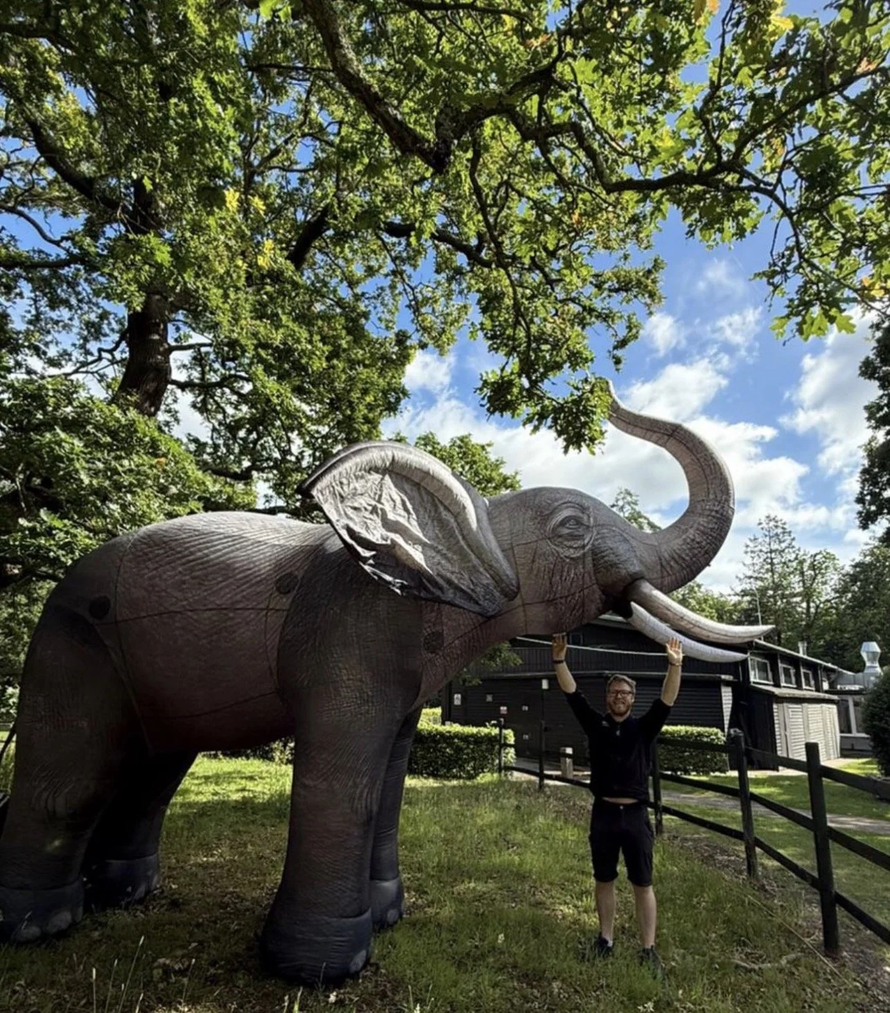 Inflatable giant Elephant for hire