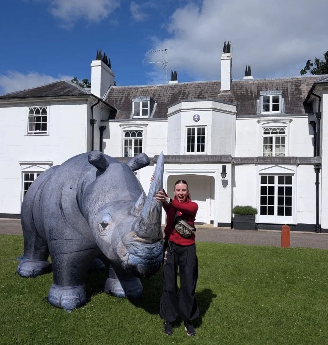 Inflatable giant Rhino for hire