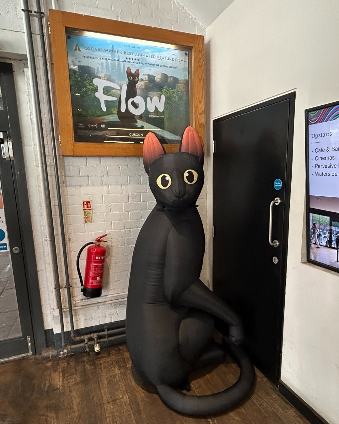 Custom Inflatable Cat Character from the Movie Flow