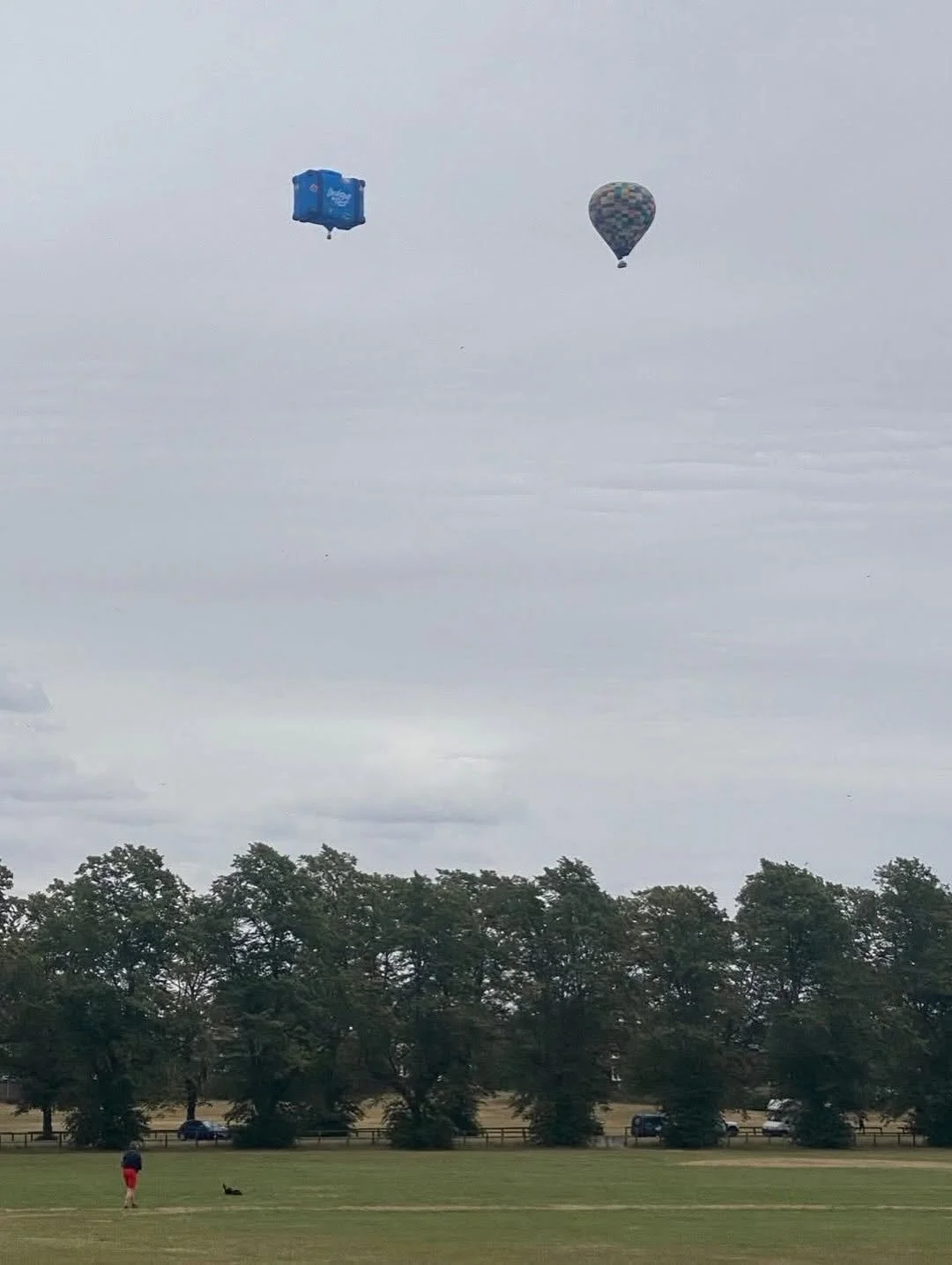 Special Shape advertising hot air balloon