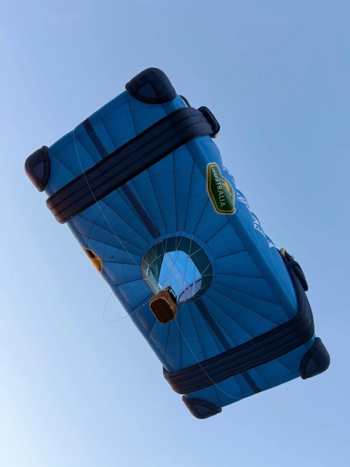 Special Shape advertising hot air balloon world tour