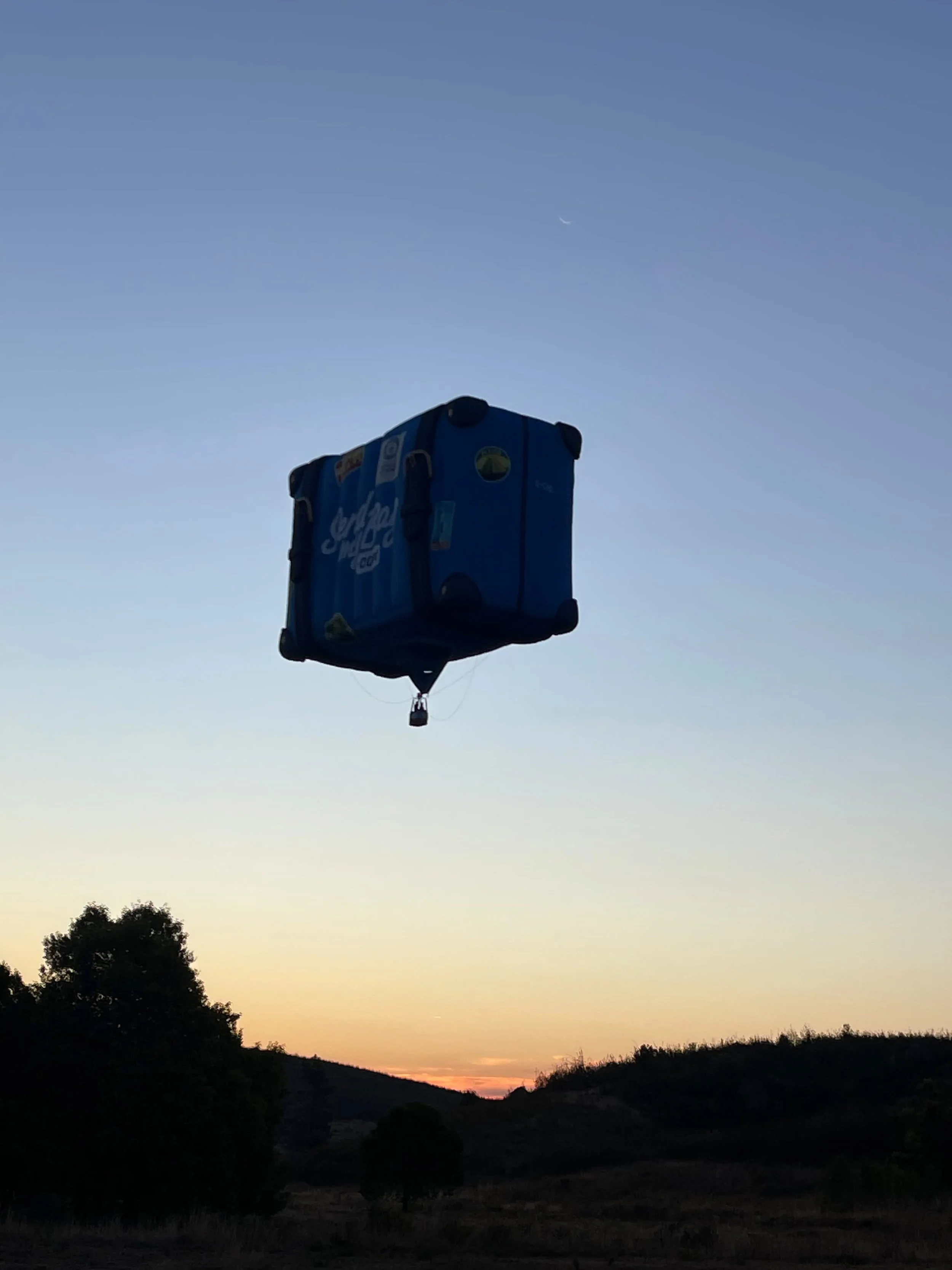 Special shape advertising hot air balloon