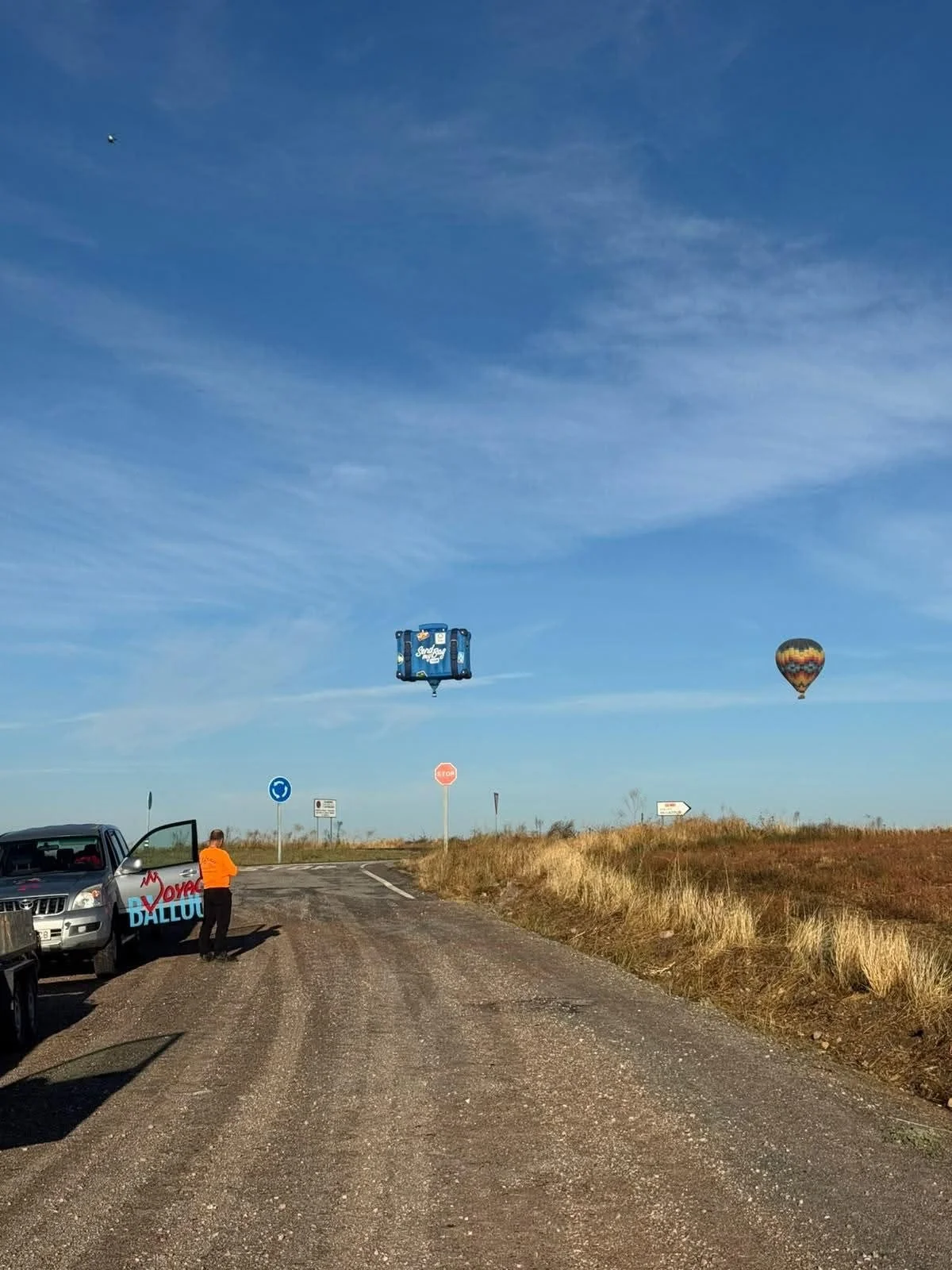 Special Shape advertising hot air balloon