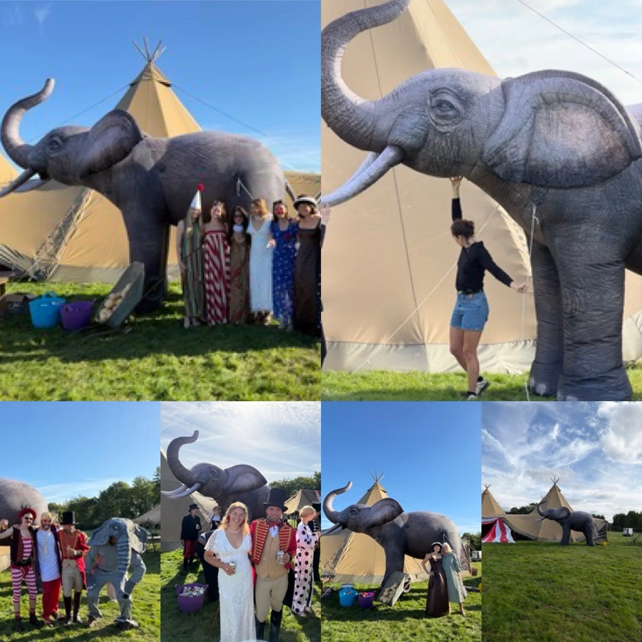 Life size inflatable elephant
