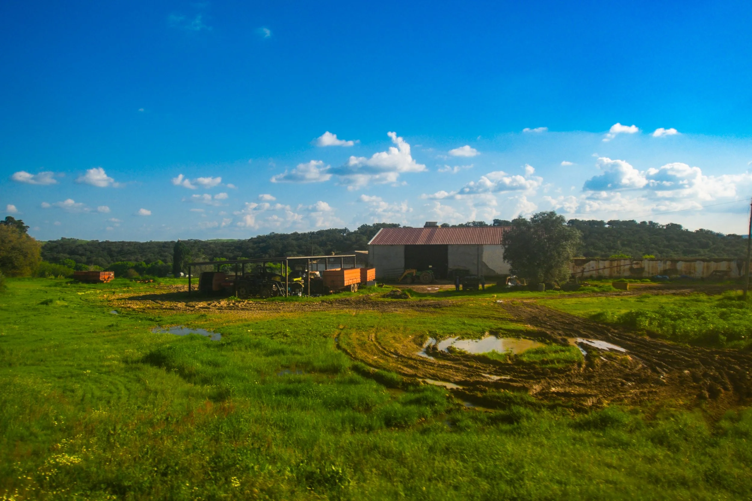 DSCF0709.jpg