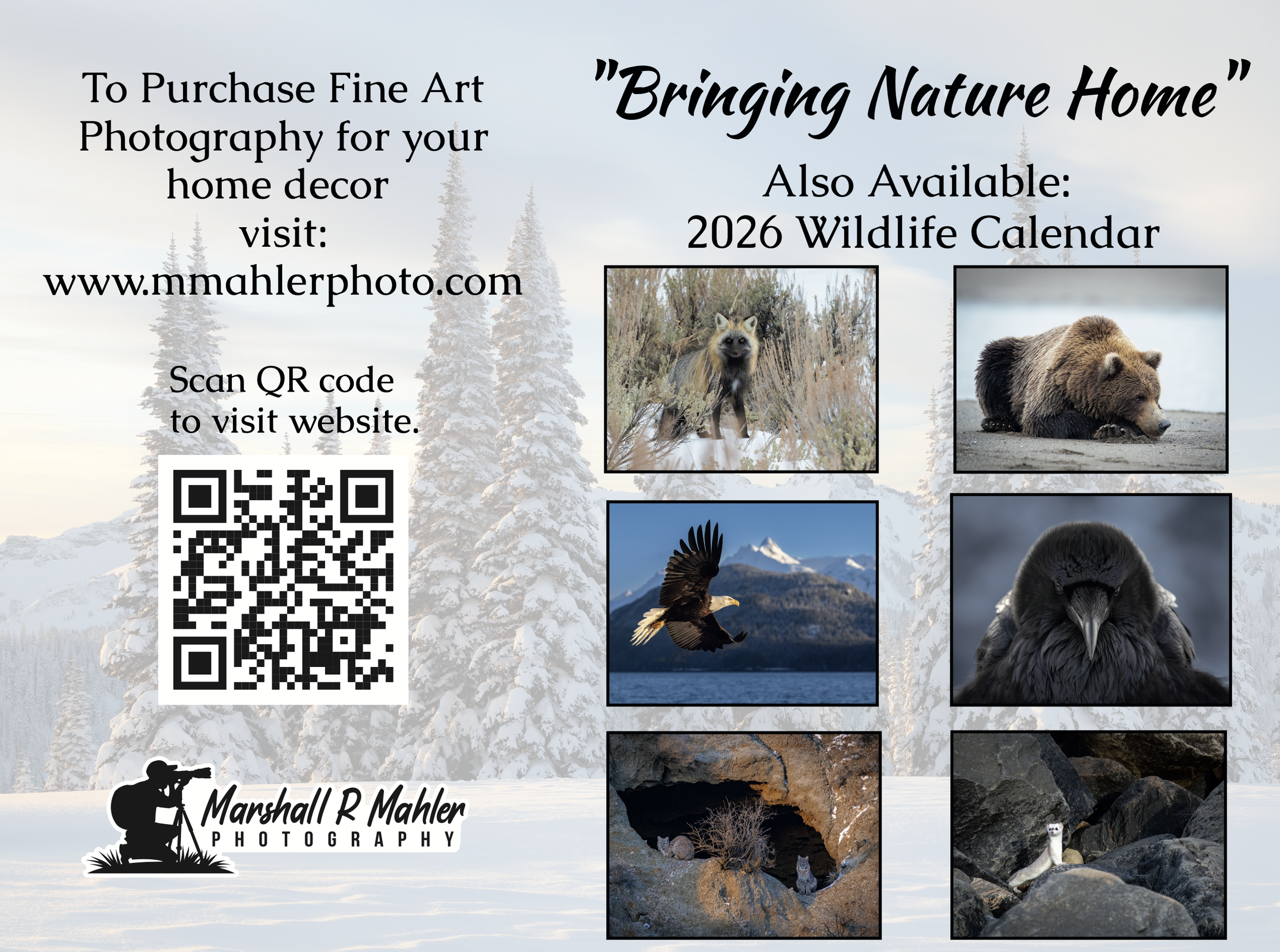 Screen Shot 2025-12-12 at 11.42.26 AM.png