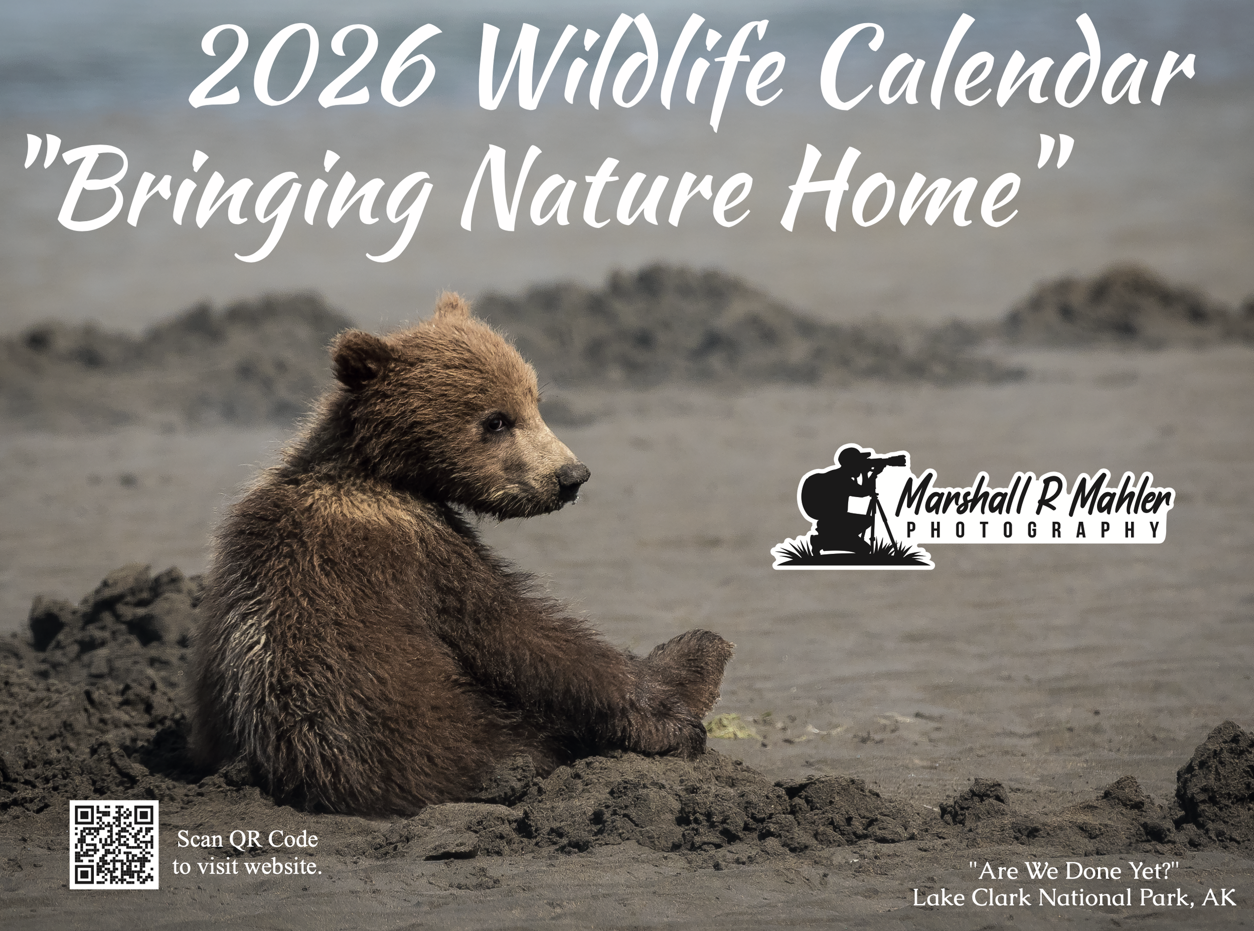 Screen Shot 2025-12-12 at 11.51.37 AM.png